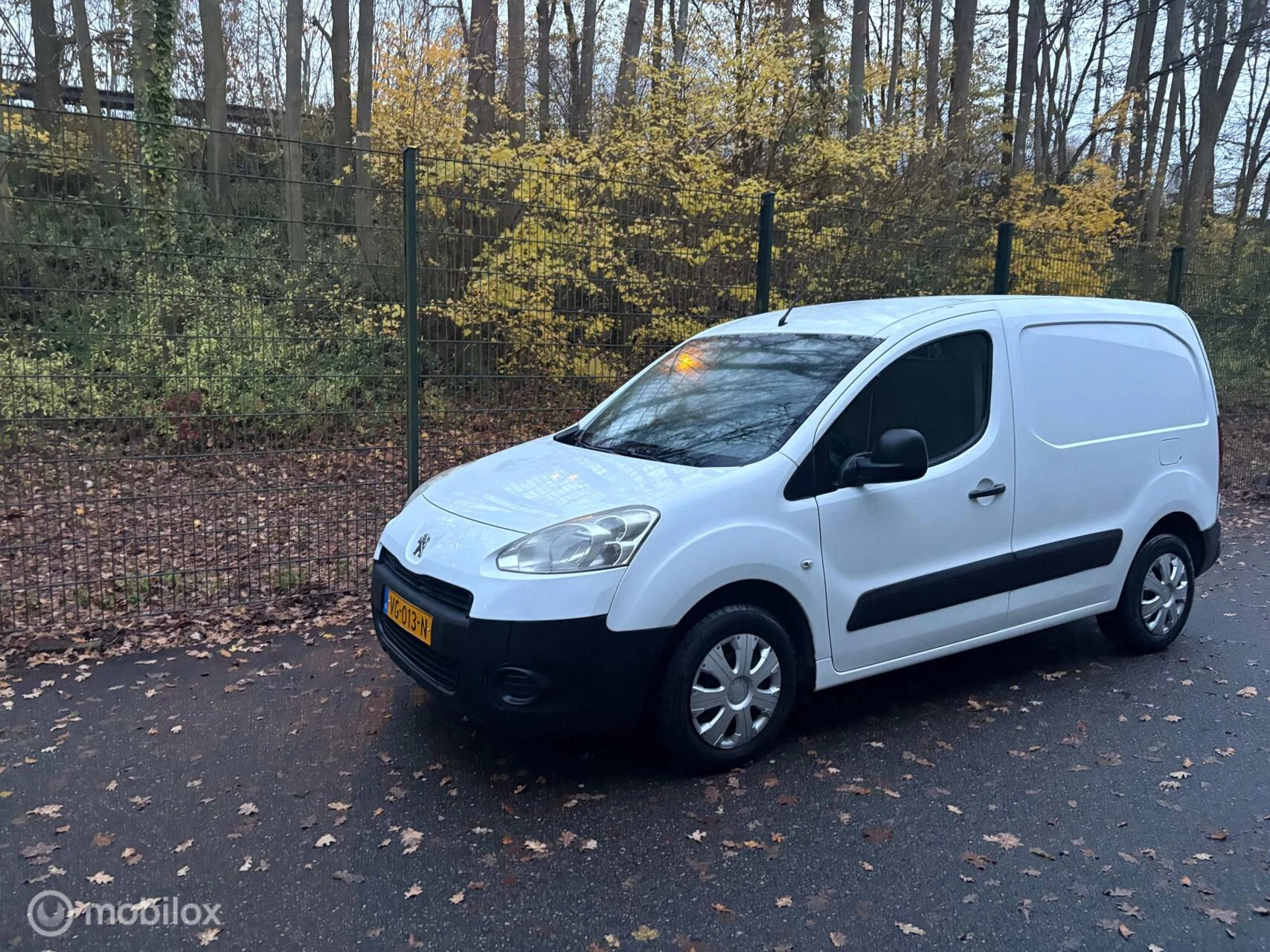 Hoofdafbeelding Peugeot Partner