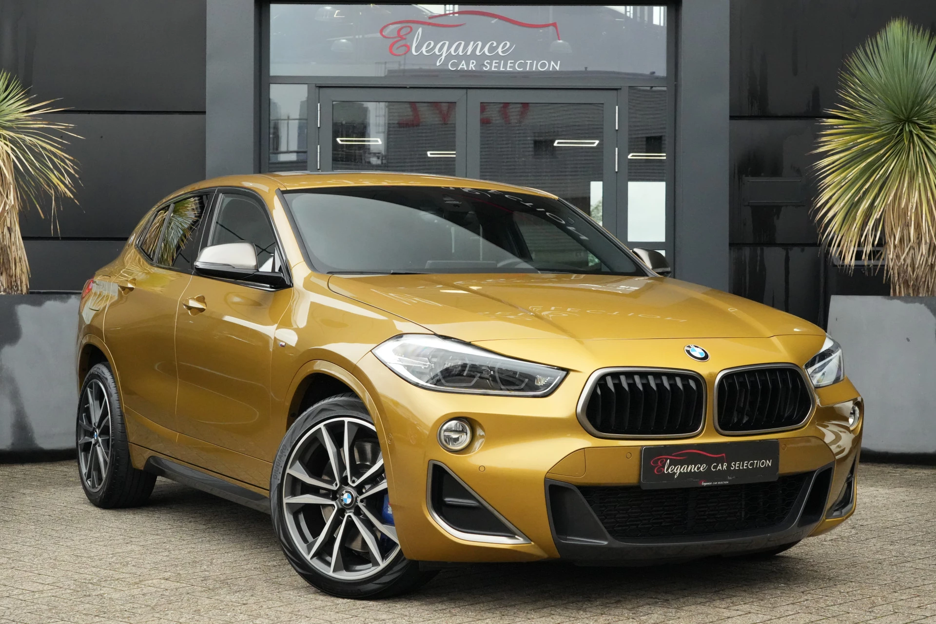 Hoofdafbeelding BMW X2