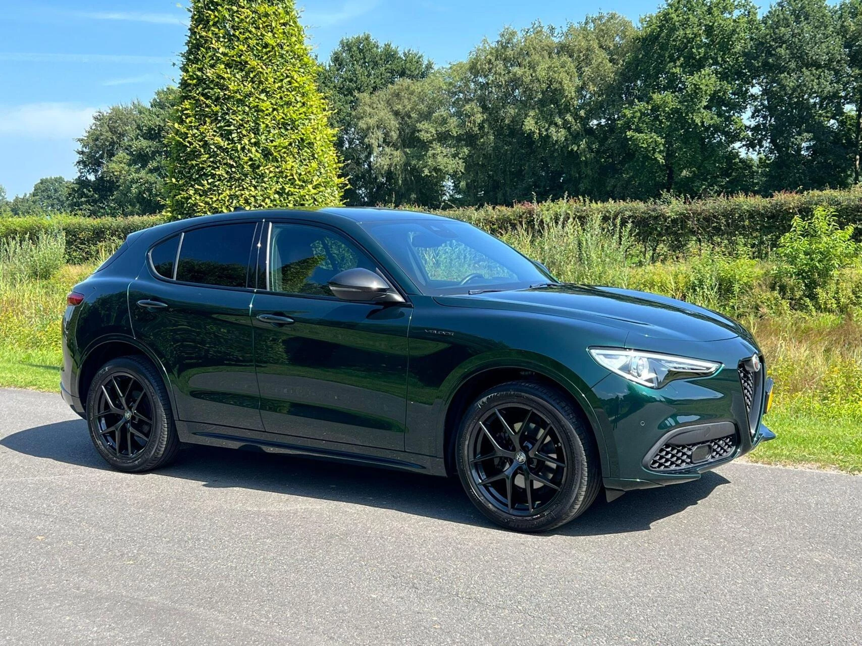 Hoofdafbeelding Alfa Romeo Stelvio