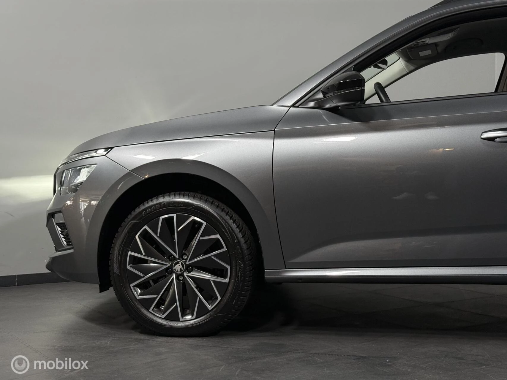 Hoofdafbeelding Škoda Kamiq