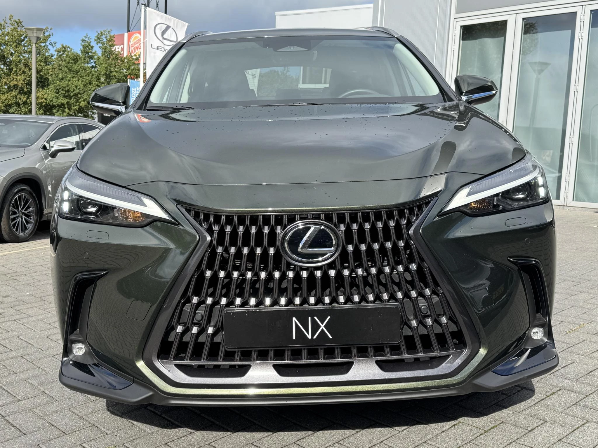 Hoofdafbeelding Lexus NX