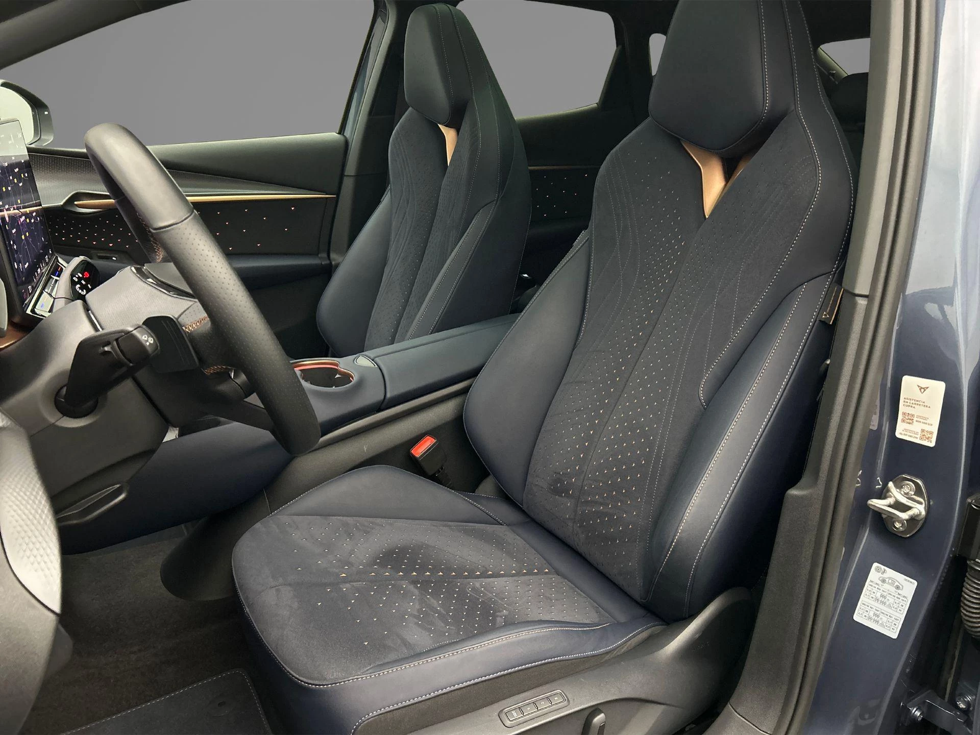 Hoofdafbeelding CUPRA Tavascan