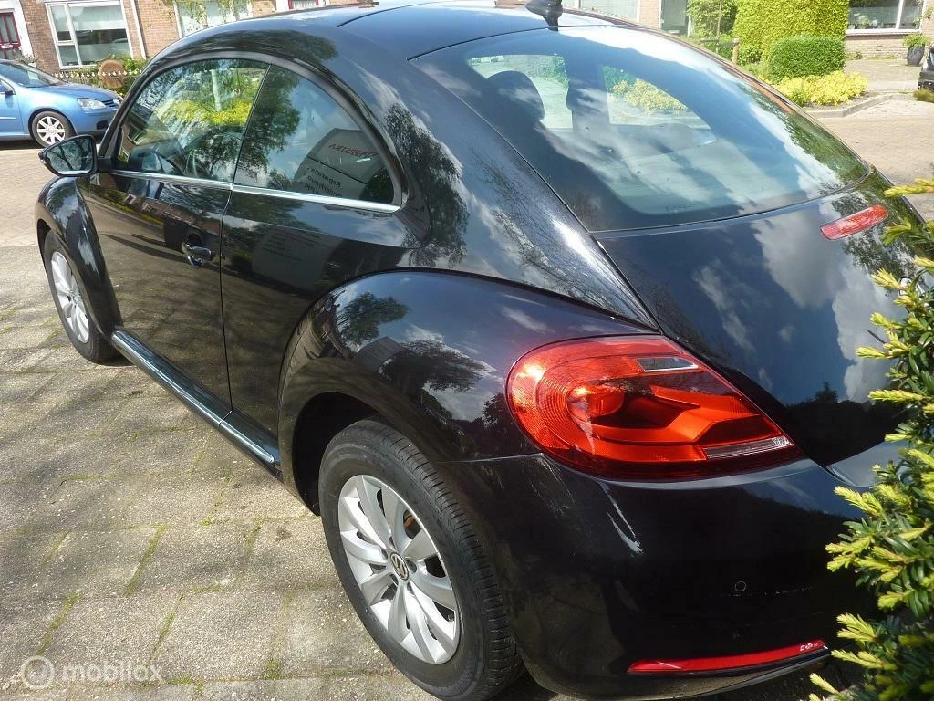 Hoofdafbeelding Volkswagen Beetle