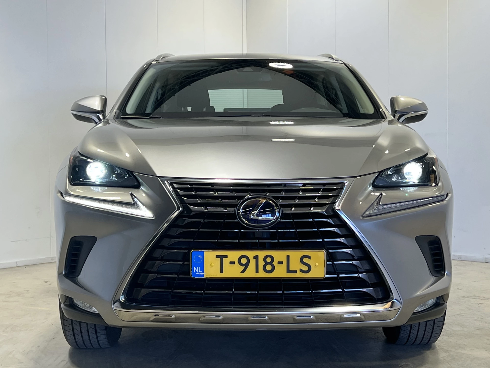 Hoofdafbeelding Lexus NX