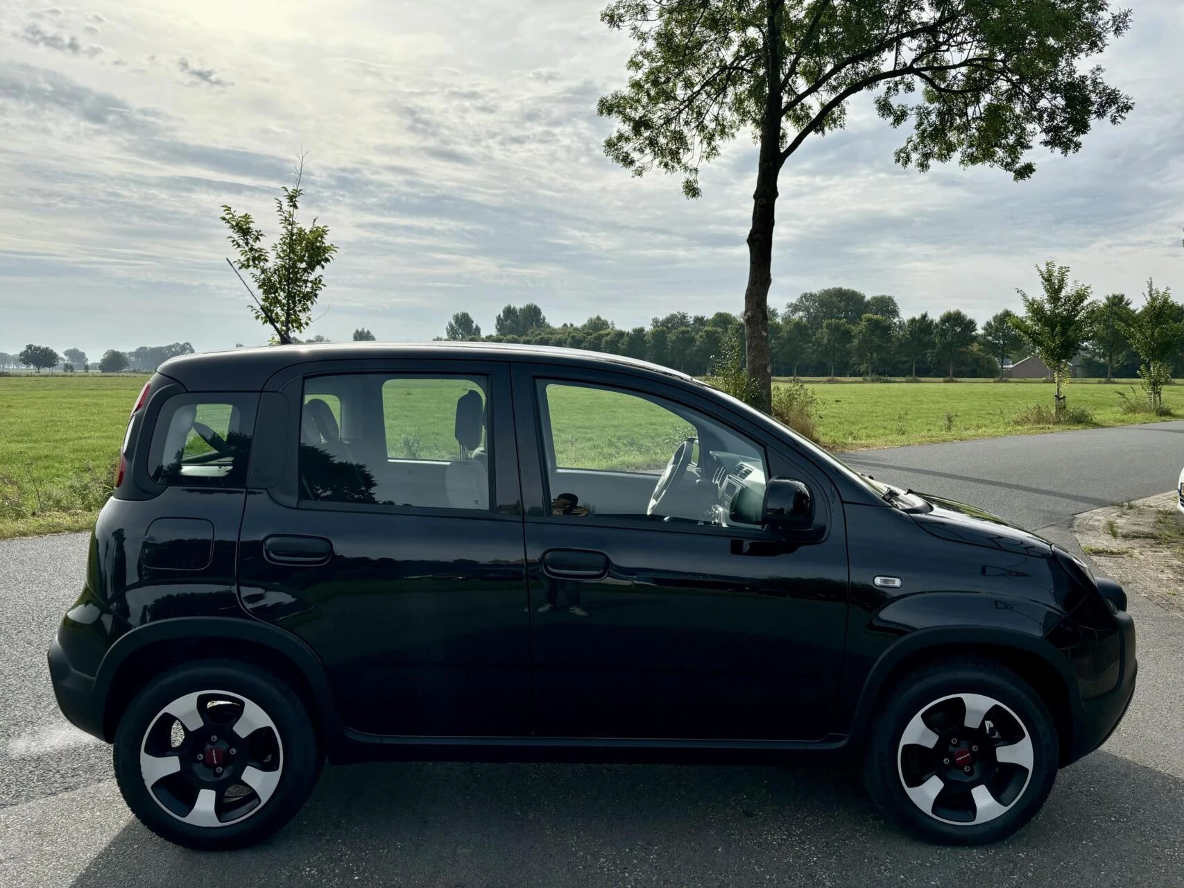 Hoofdafbeelding Fiat Panda