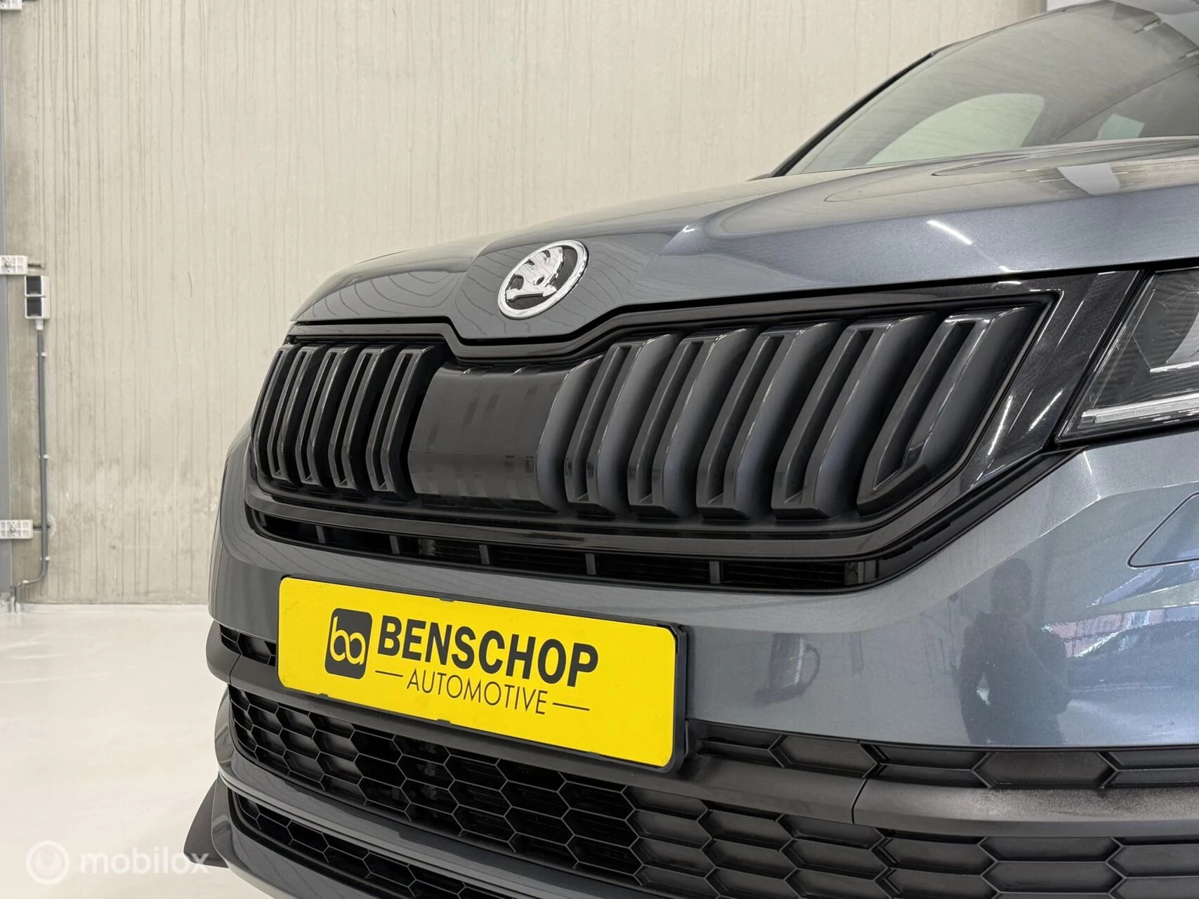 Hoofdafbeelding Škoda Kodiaq