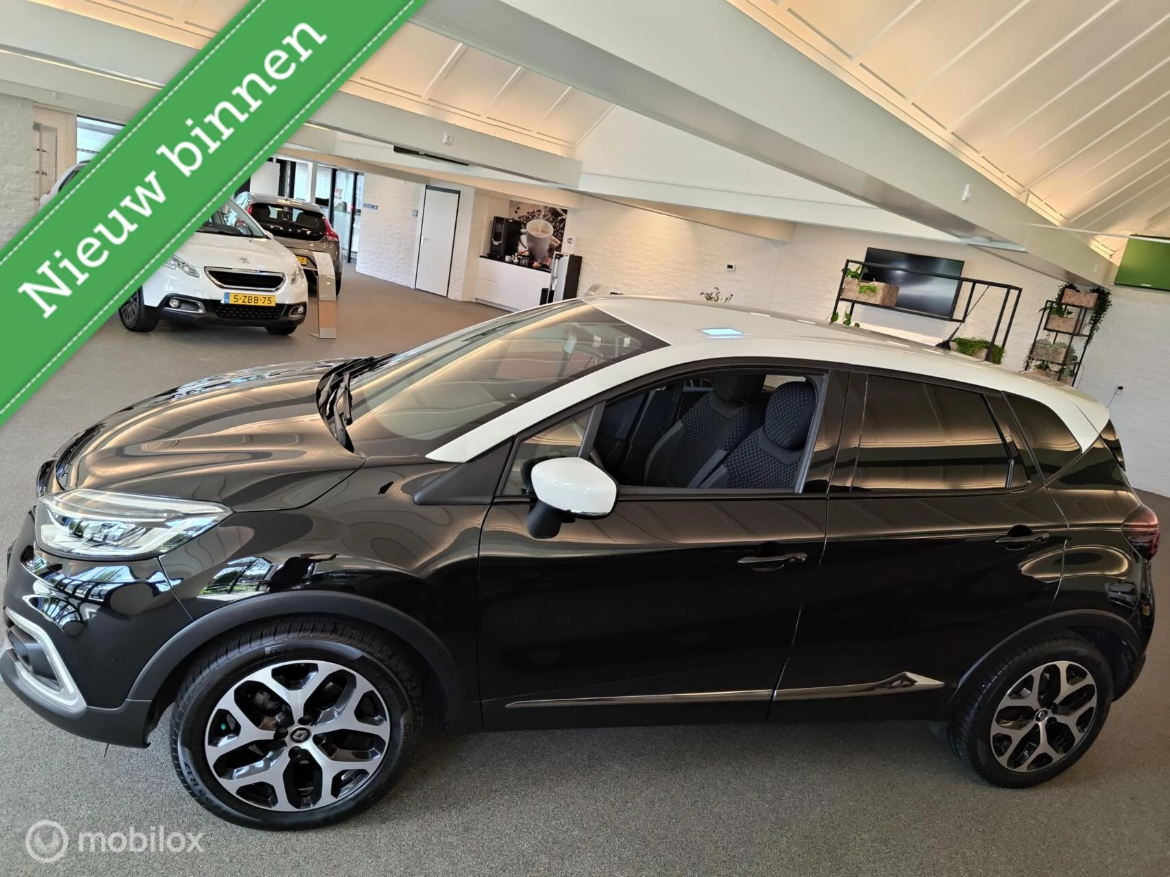 Hoofdafbeelding Renault Captur