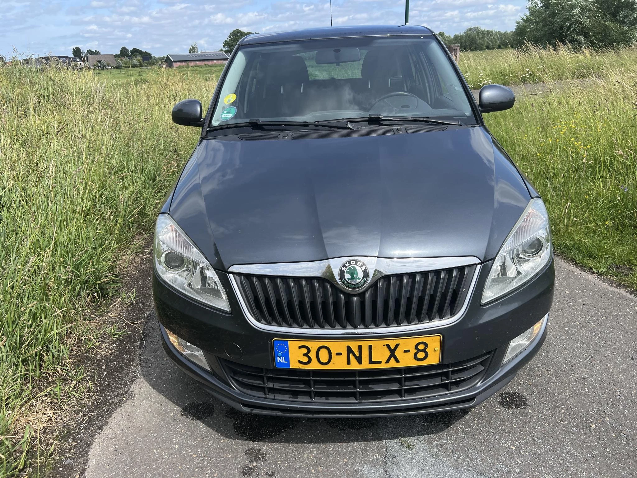 Hoofdafbeelding Škoda Fabia