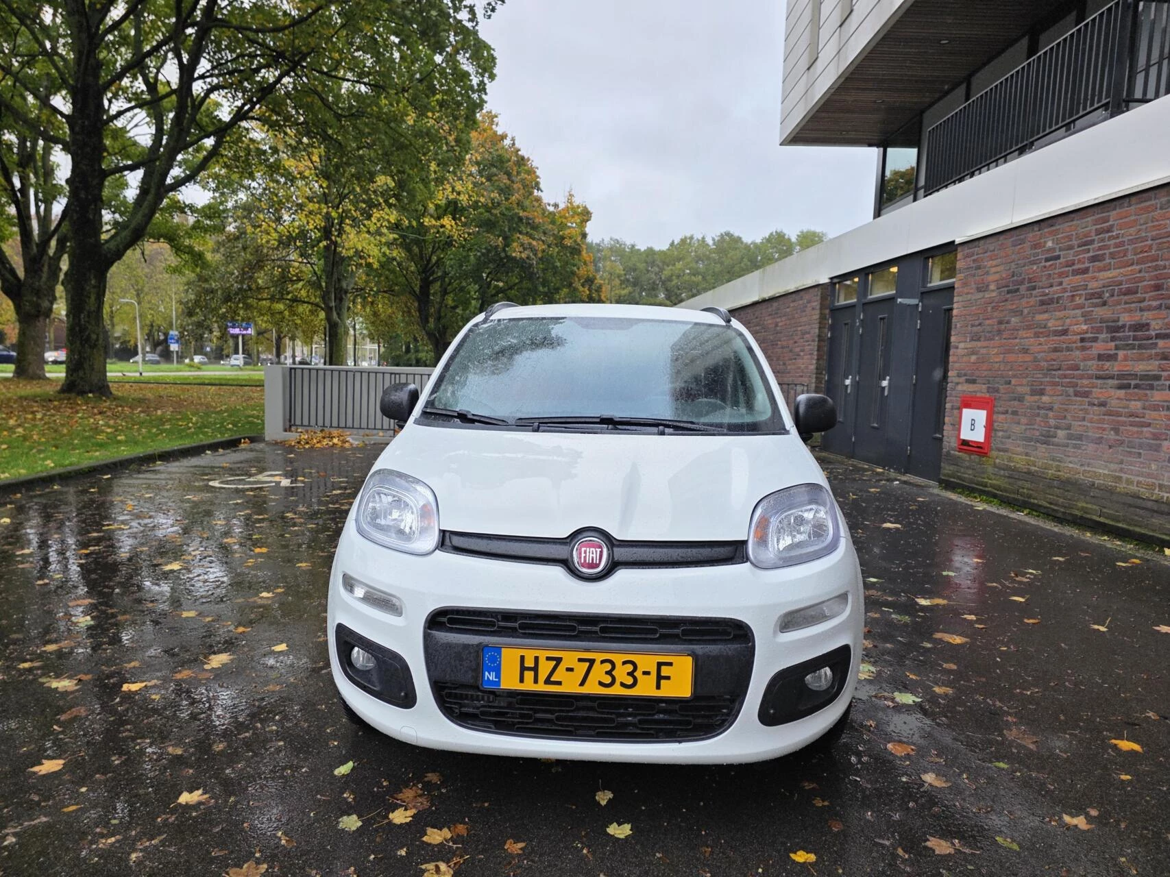 Hoofdafbeelding Fiat Panda
