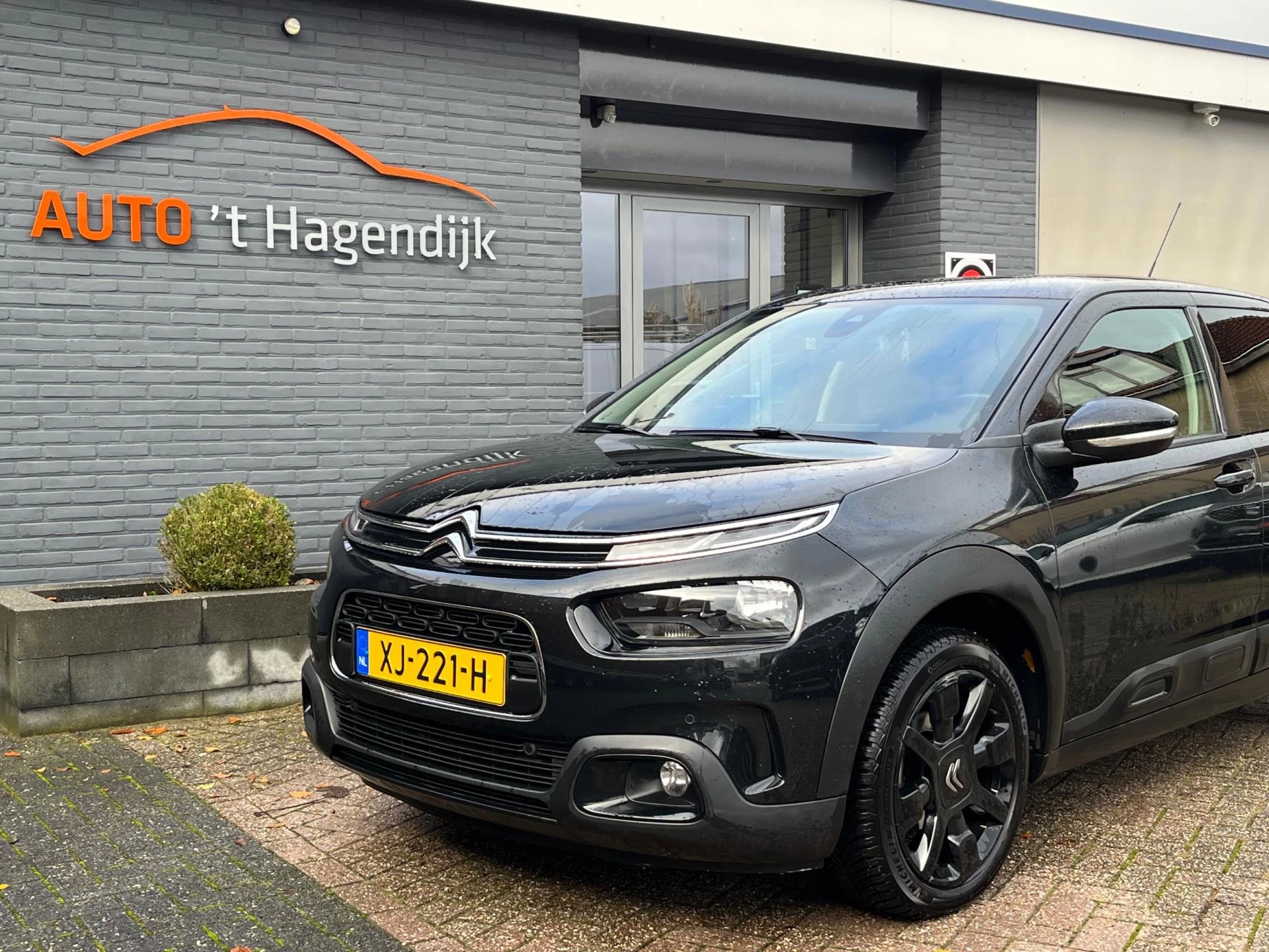 Hoofdafbeelding Citroën C4 Cactus