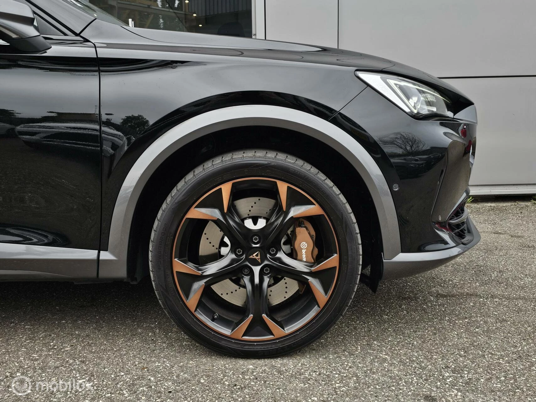 Hoofdafbeelding CUPRA Formentor