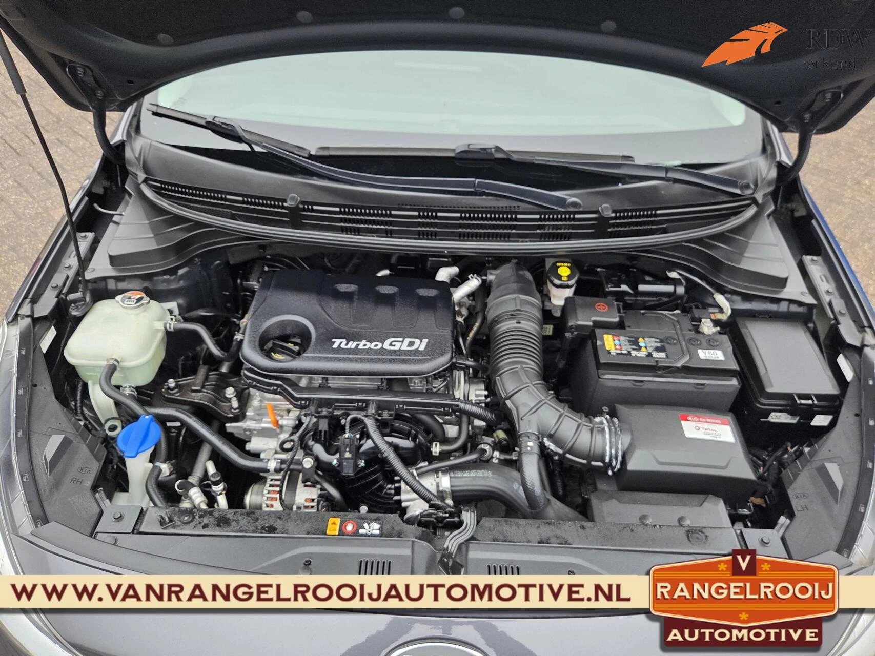 Hoofdafbeelding Kia Rio