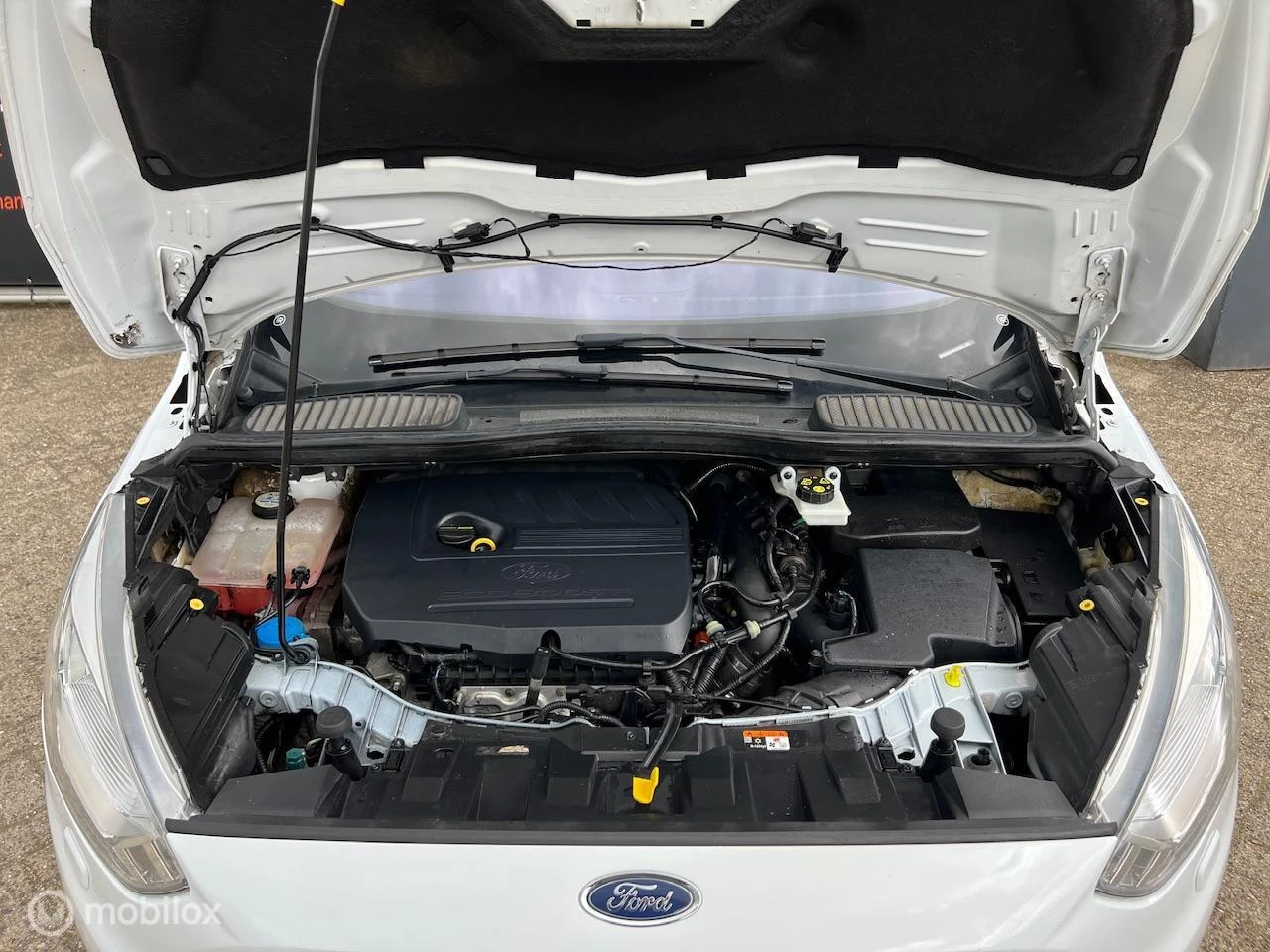 Hoofdafbeelding Ford C-MAX