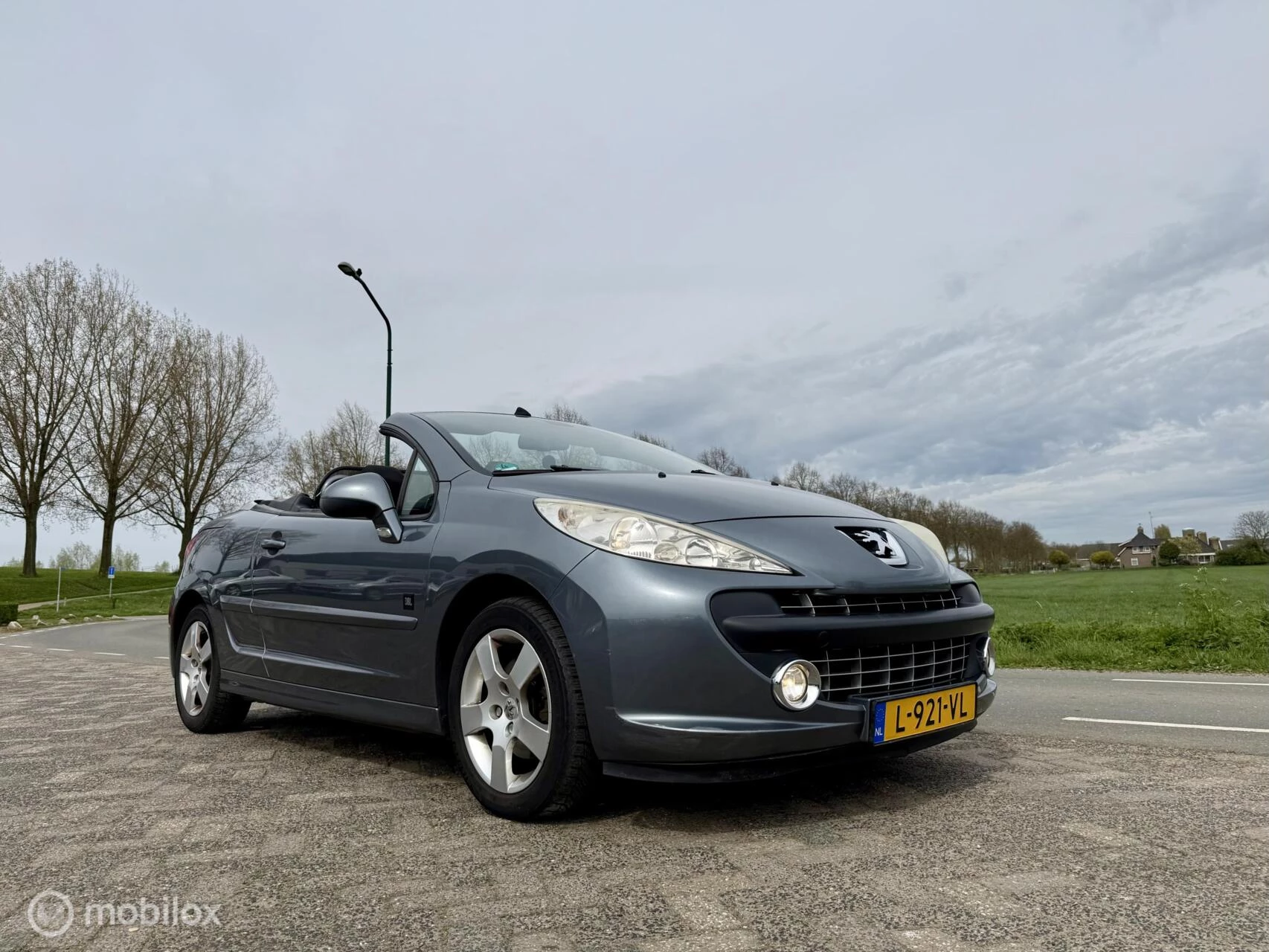 Hoofdafbeelding Peugeot 207