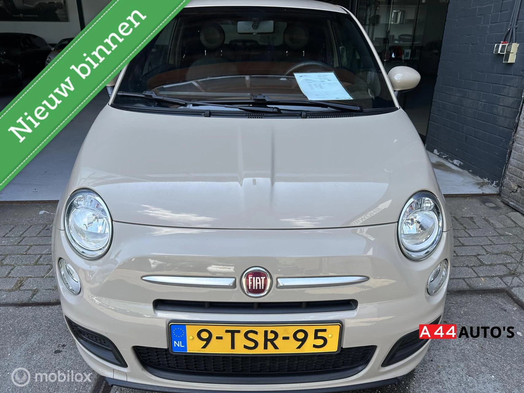 Hoofdafbeelding Fiat 500