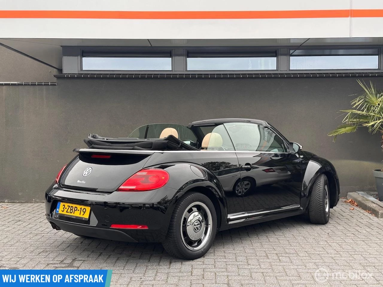 Hoofdafbeelding Volkswagen Beetle