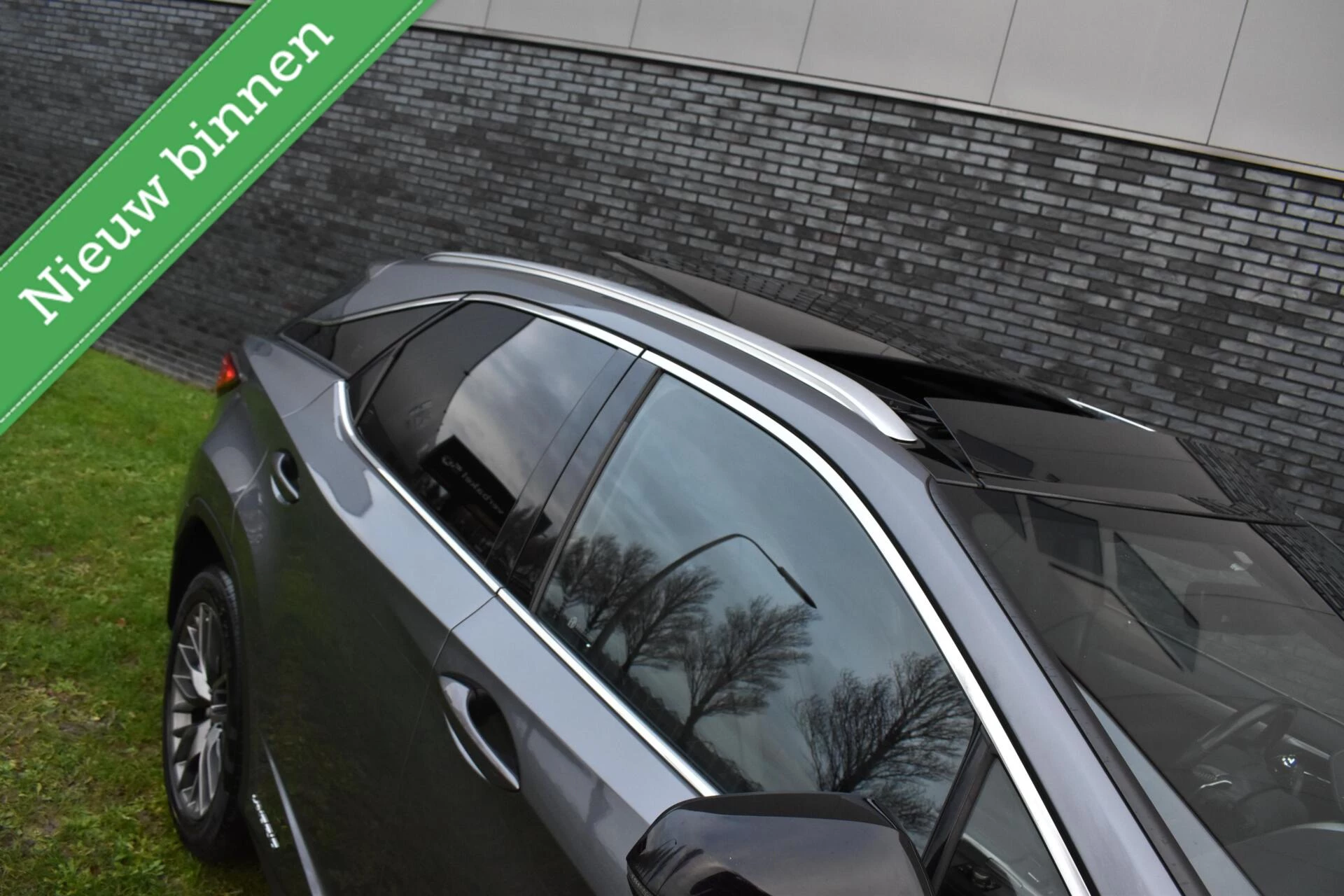 Hoofdafbeelding Lexus RX