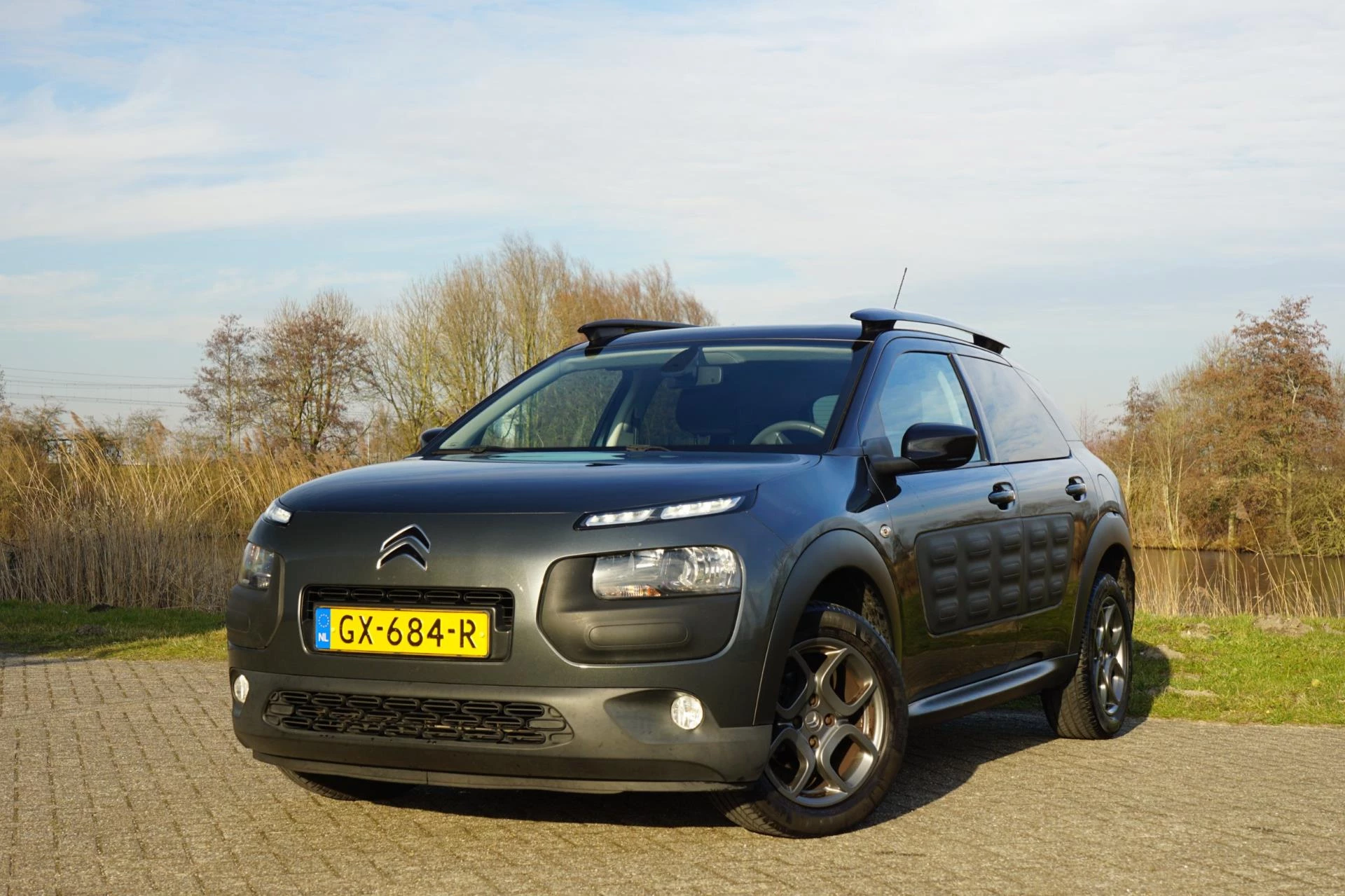 Hoofdafbeelding Citroën C4 Cactus