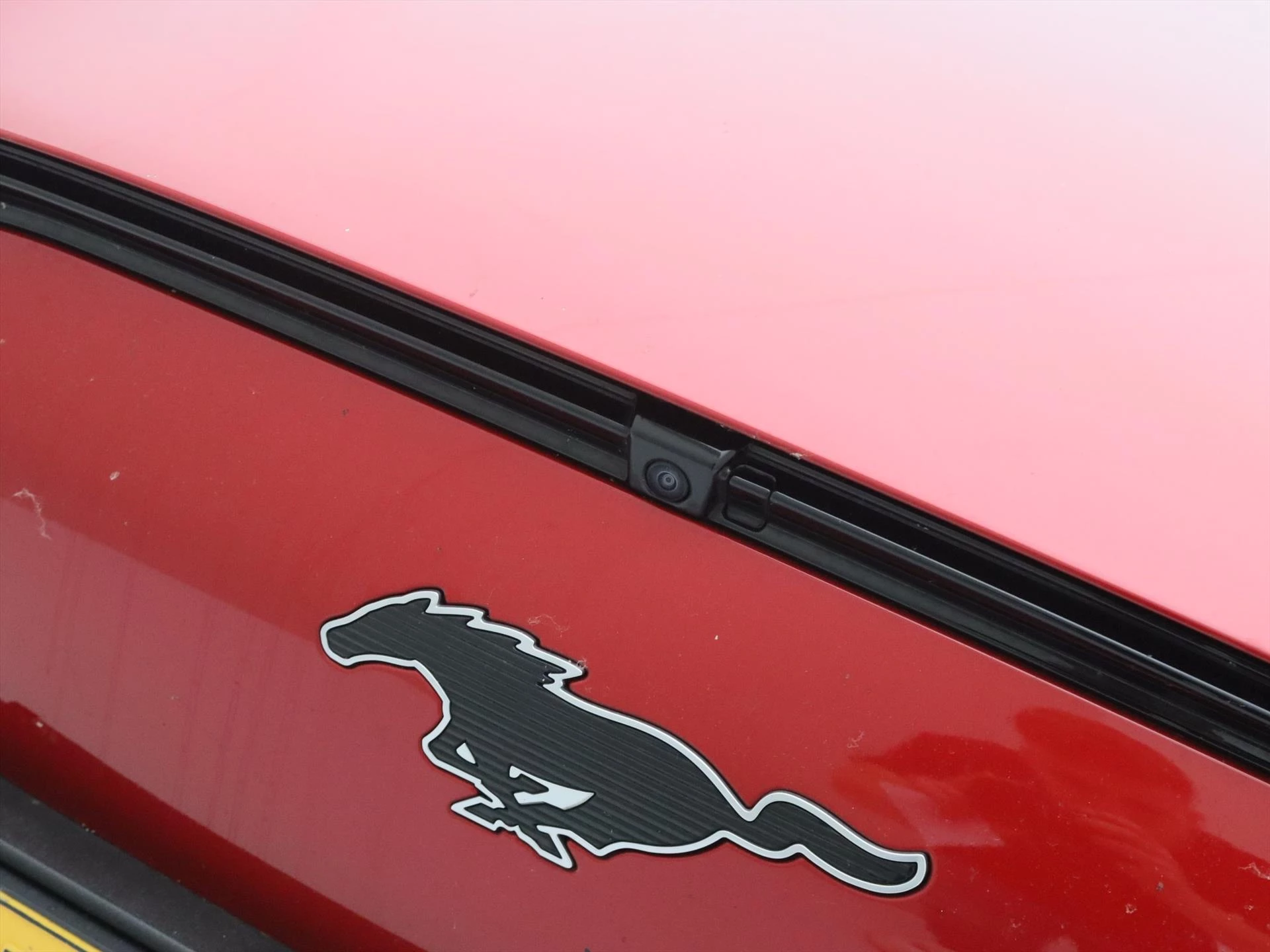 Hoofdafbeelding Ford Mustang Mach-E