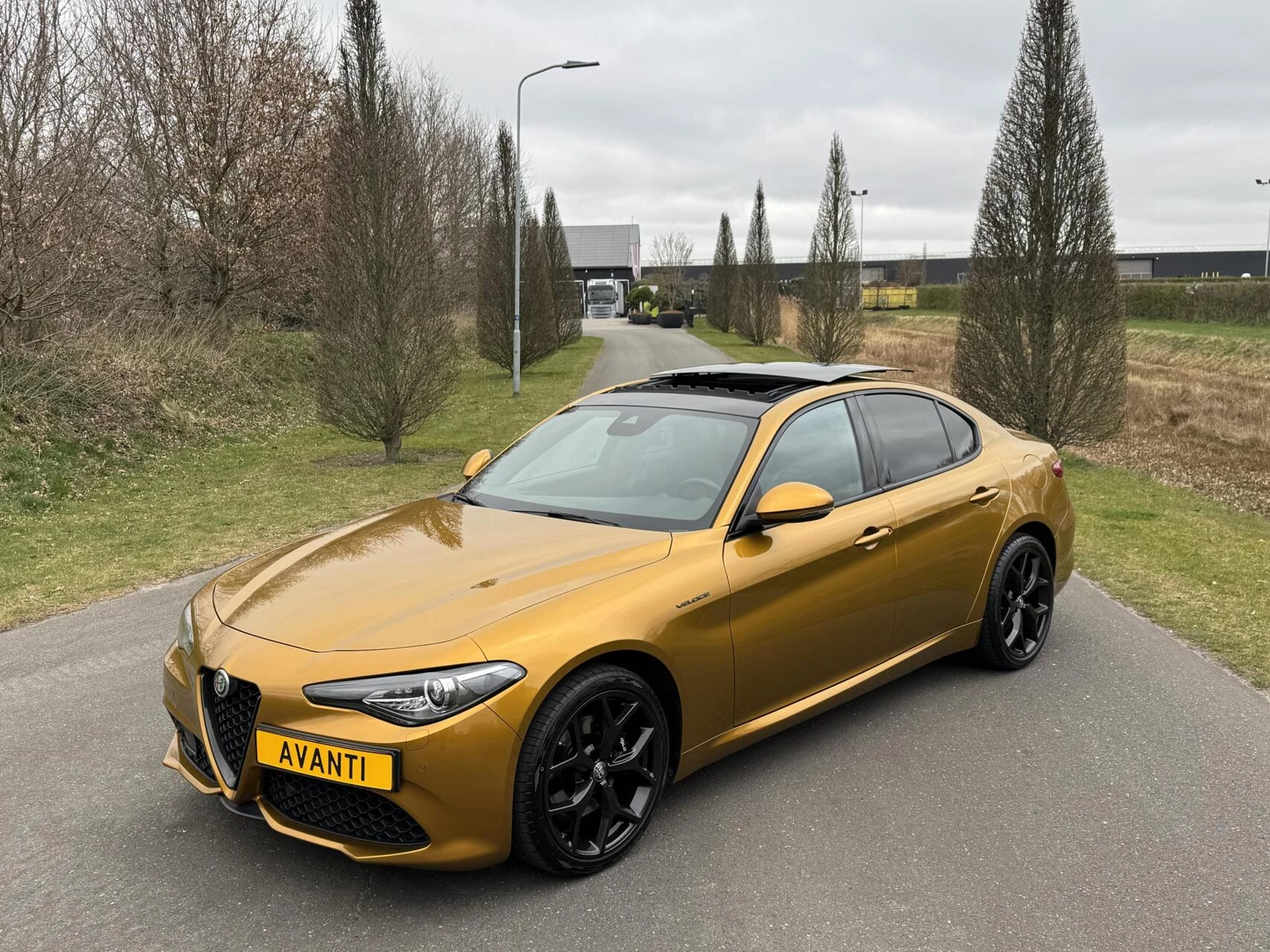 Hoofdafbeelding Alfa Romeo Giulia