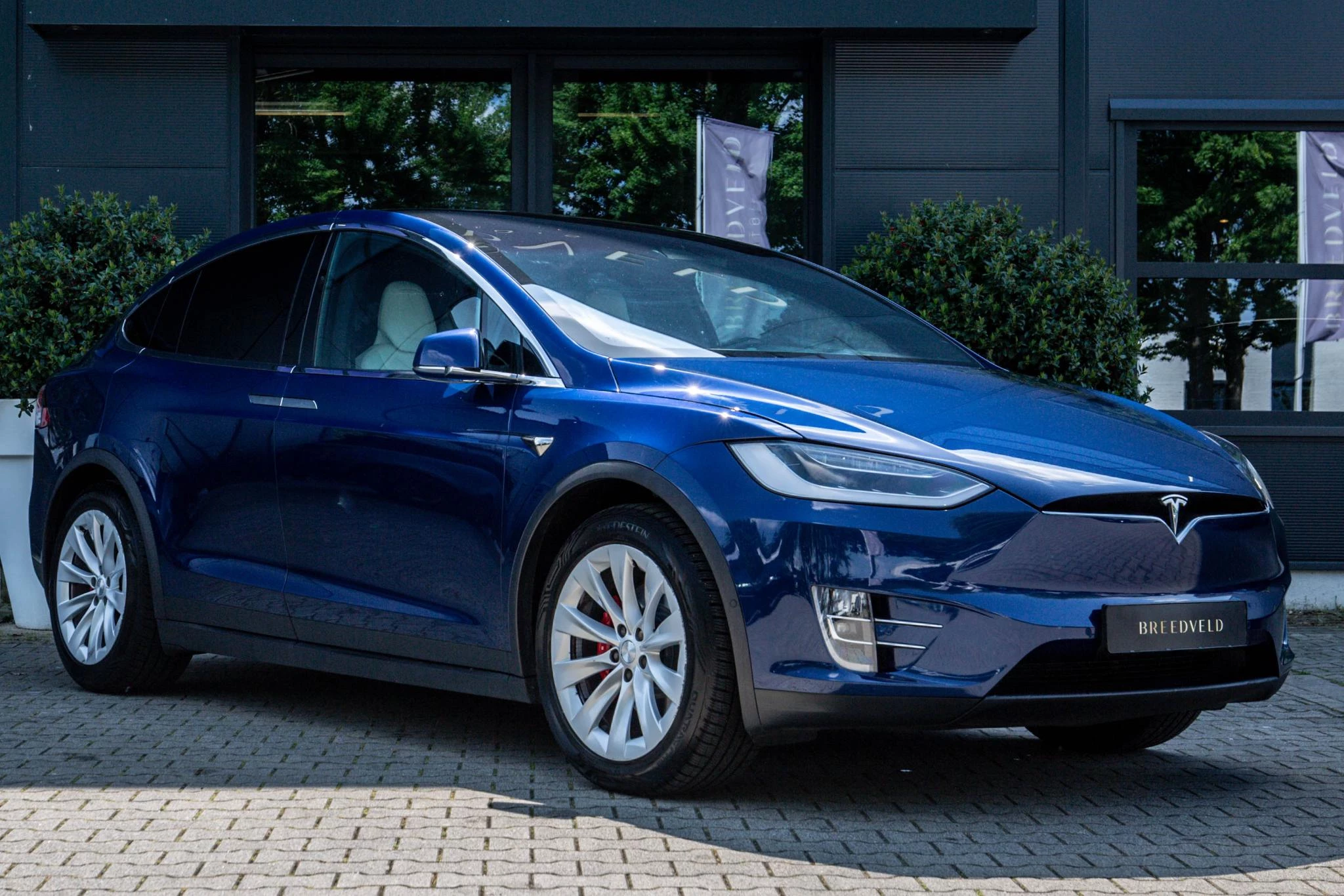 Hoofdafbeelding Tesla Model X