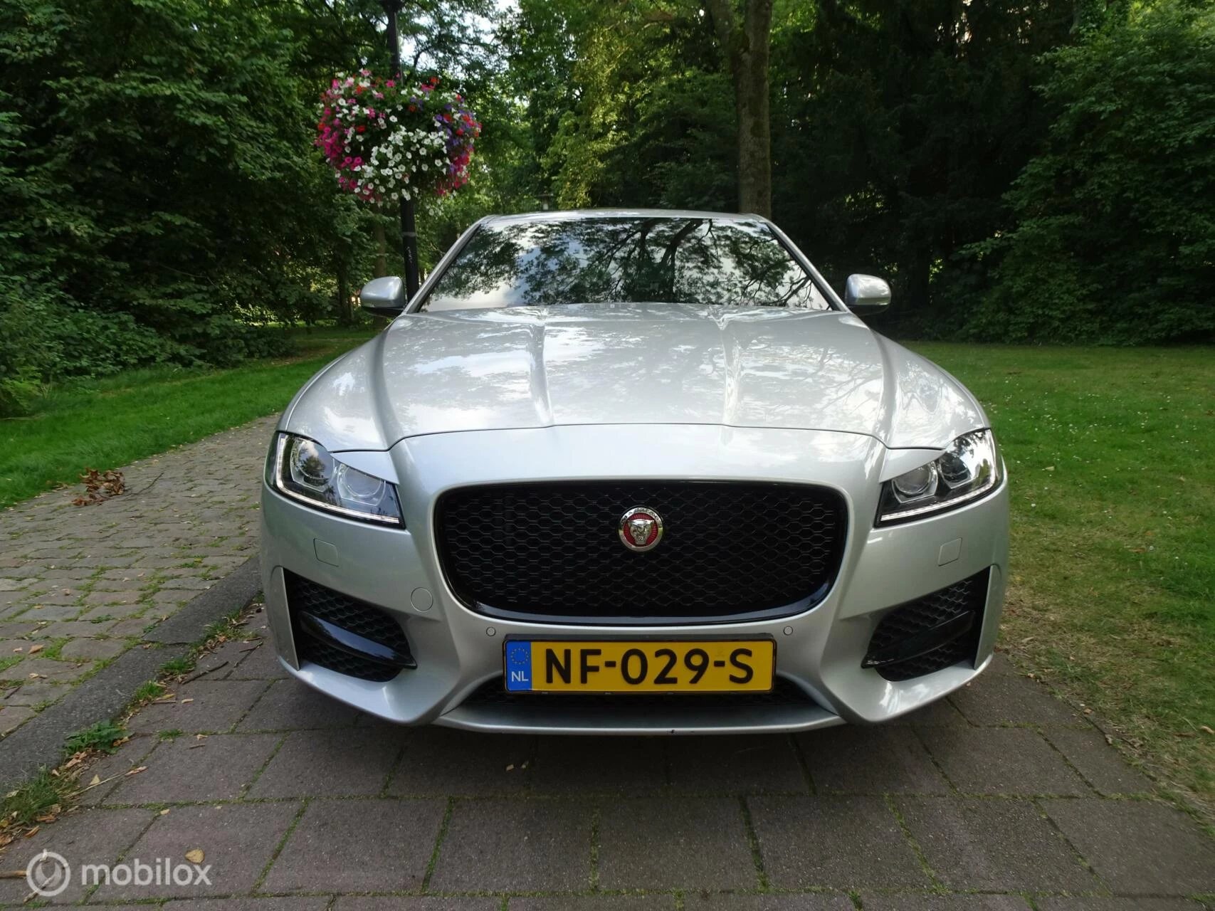 Hoofdafbeelding Jaguar XF