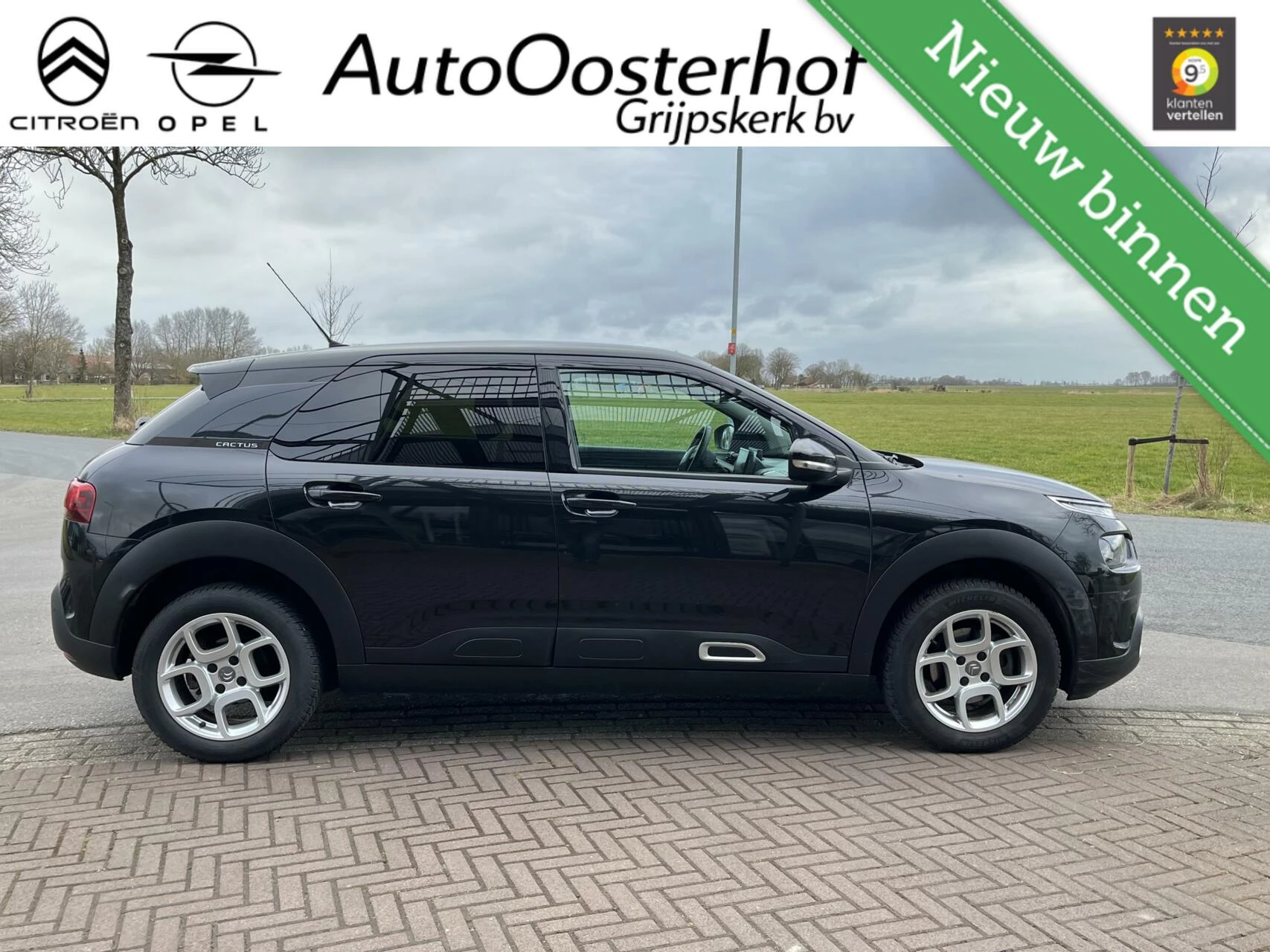 Hoofdafbeelding Citroën C4 Cactus