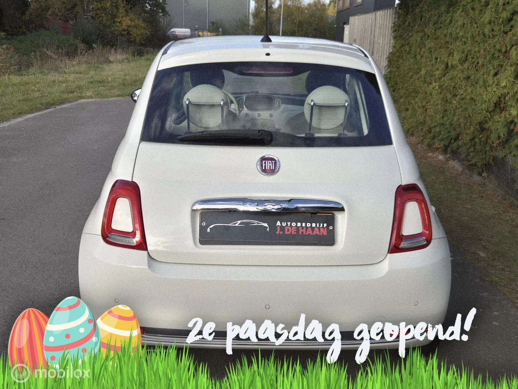 Hoofdafbeelding Fiat 500