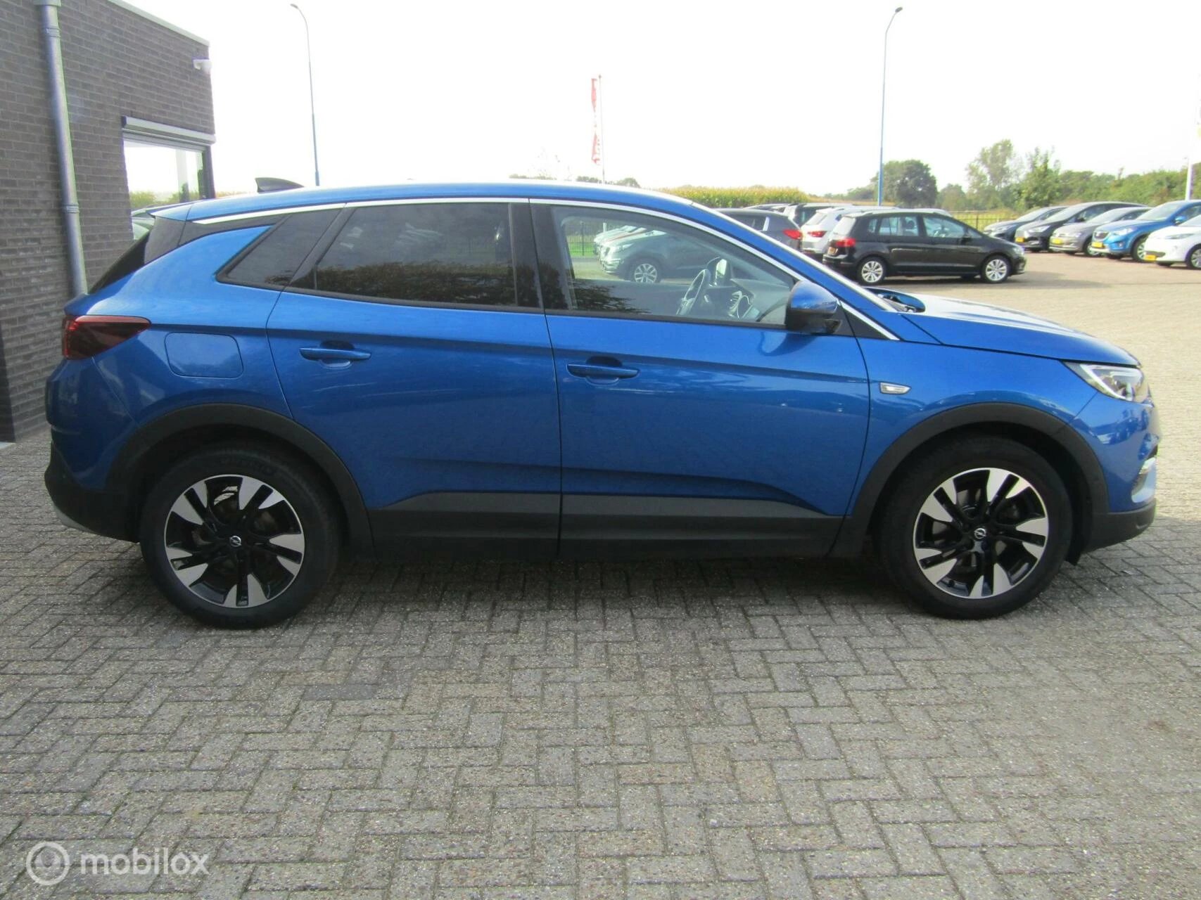 Hoofdafbeelding Opel Grandland X