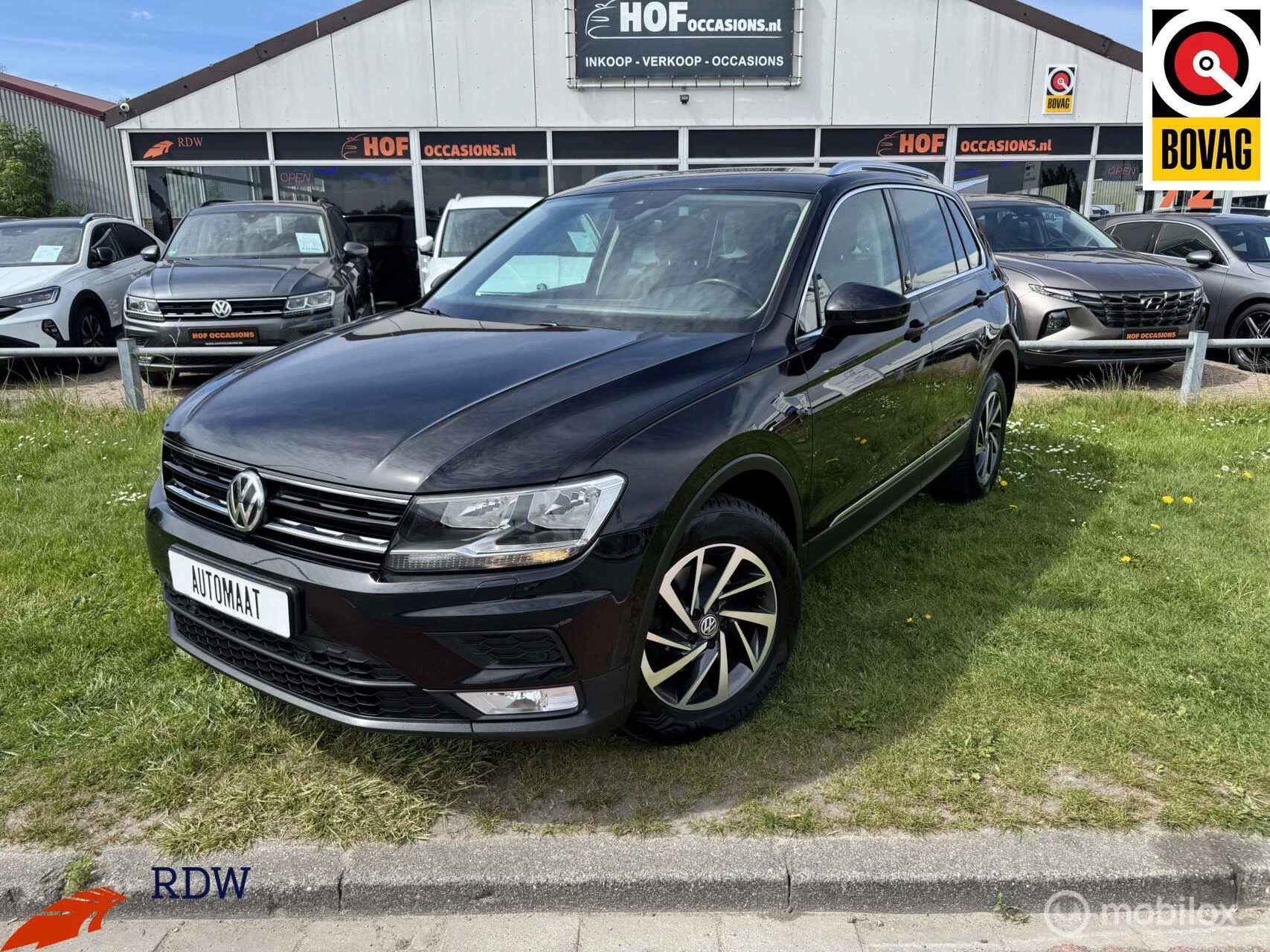 Hoofdafbeelding Volkswagen Tiguan