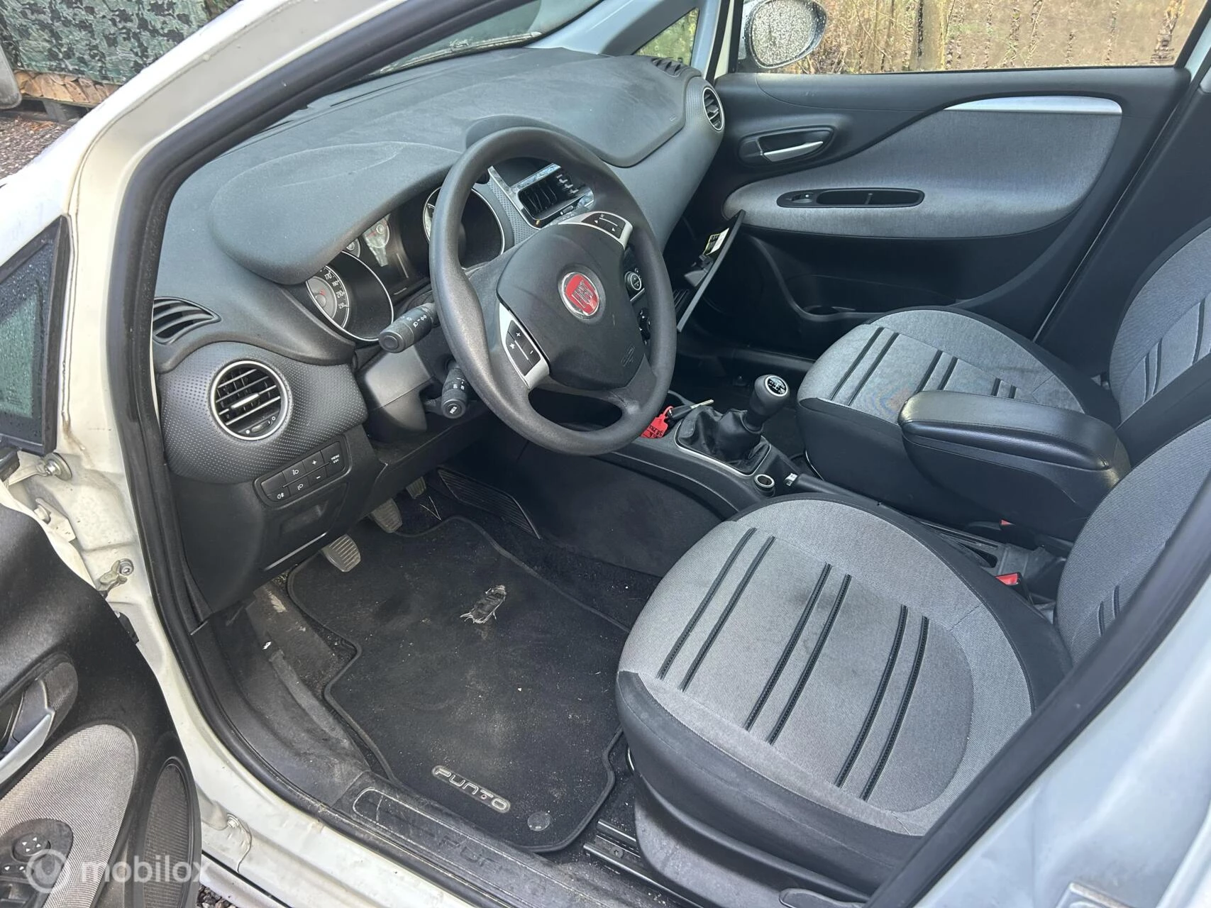 Hoofdafbeelding Fiat Punto