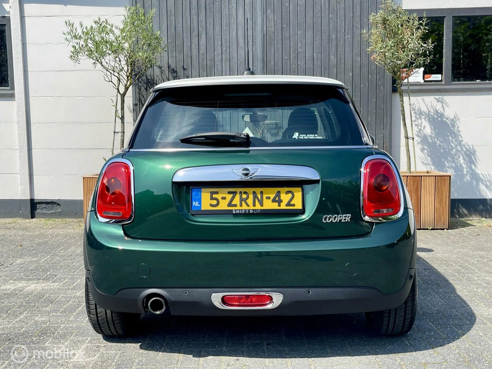 Hoofdafbeelding MINI Cooper