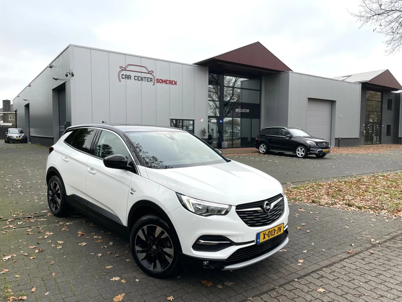 Hoofdafbeelding Opel Grandland X