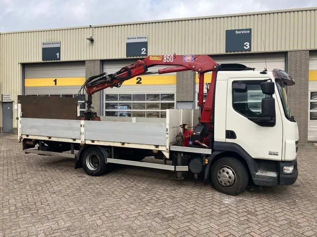 Hoofdafbeelding DAF FA-LF45 | 160 pk | 2009 | HMF Crane 8 Ton |