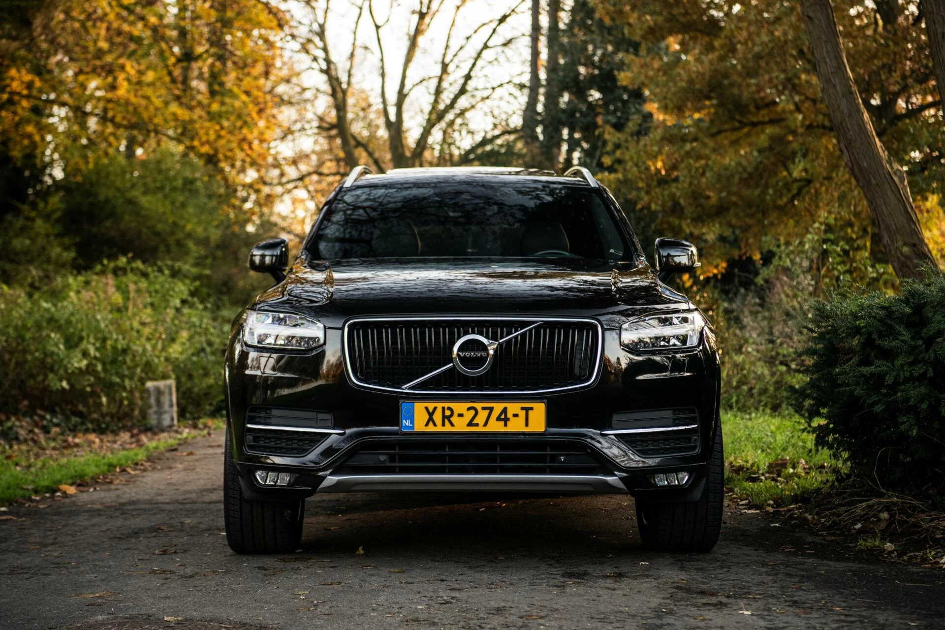 Hoofdafbeelding Volvo XC90