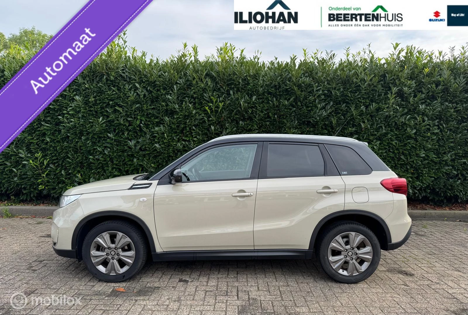Hoofdafbeelding Suzuki Vitara