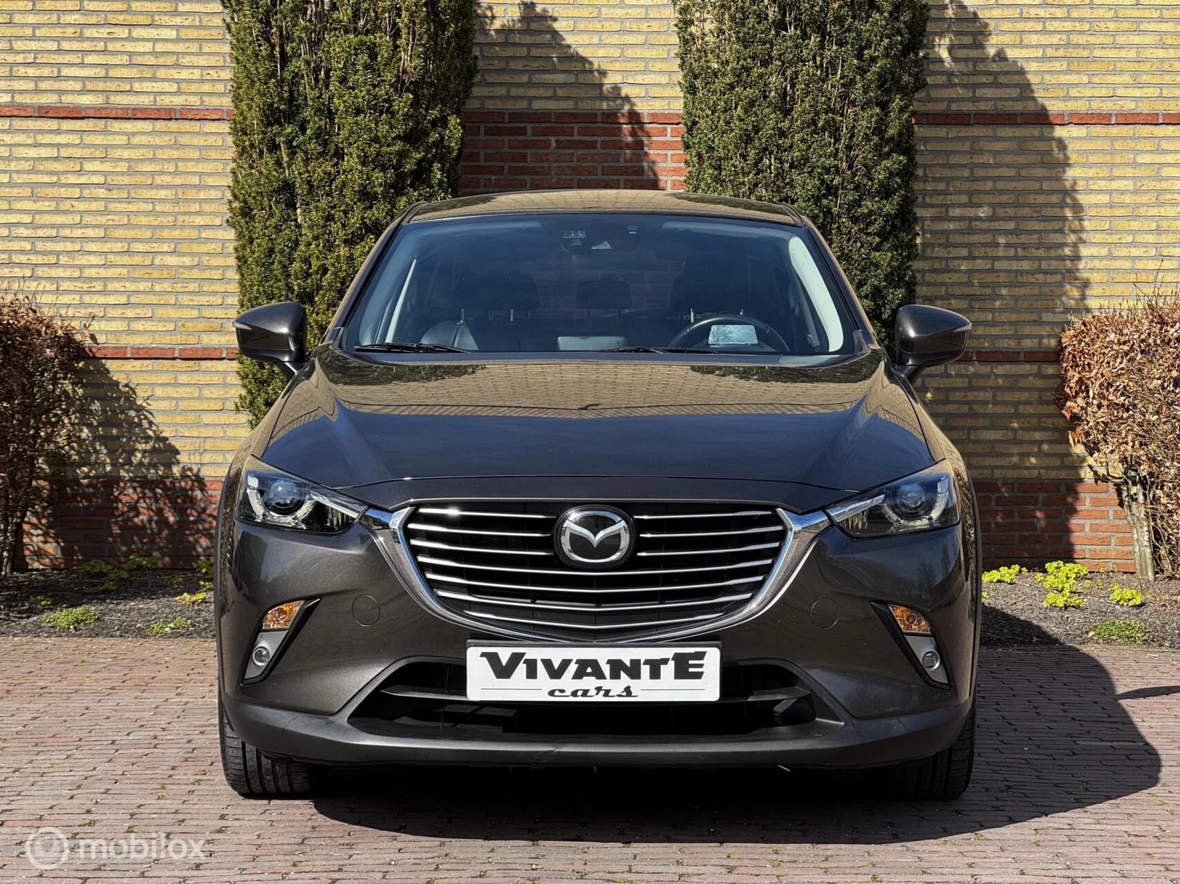 Hoofdafbeelding Mazda CX-3