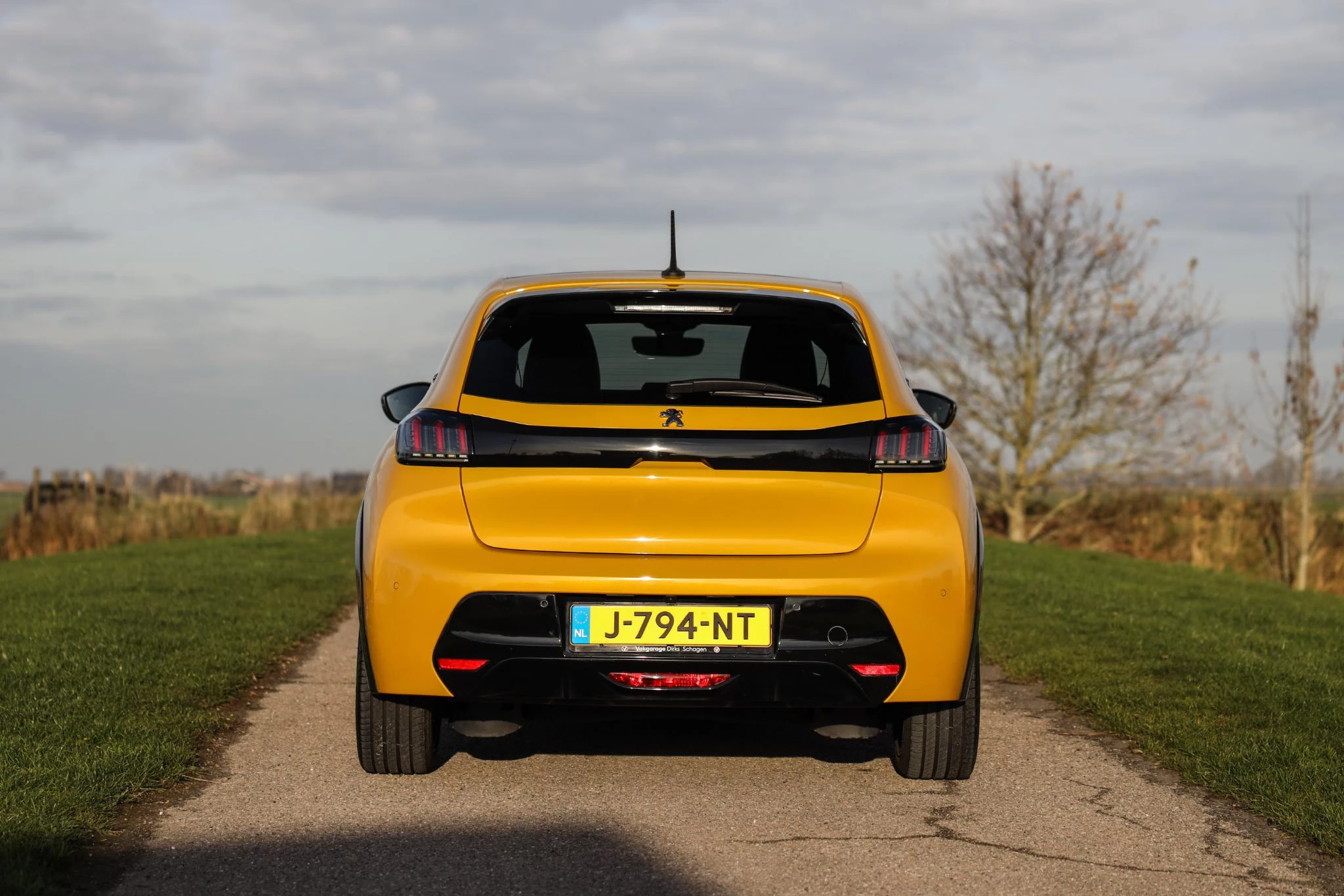 Hoofdafbeelding Peugeot e-208