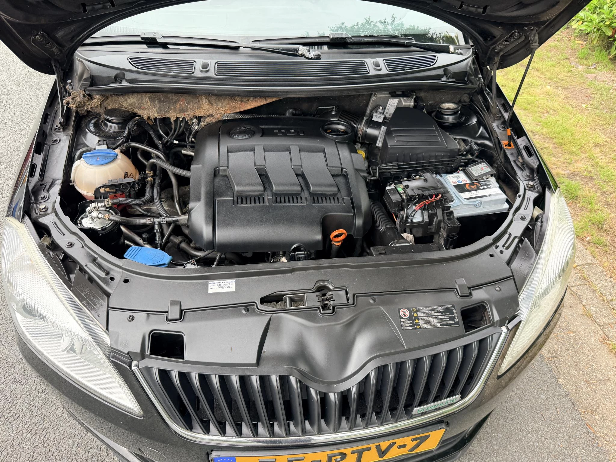 Hoofdafbeelding Škoda Fabia