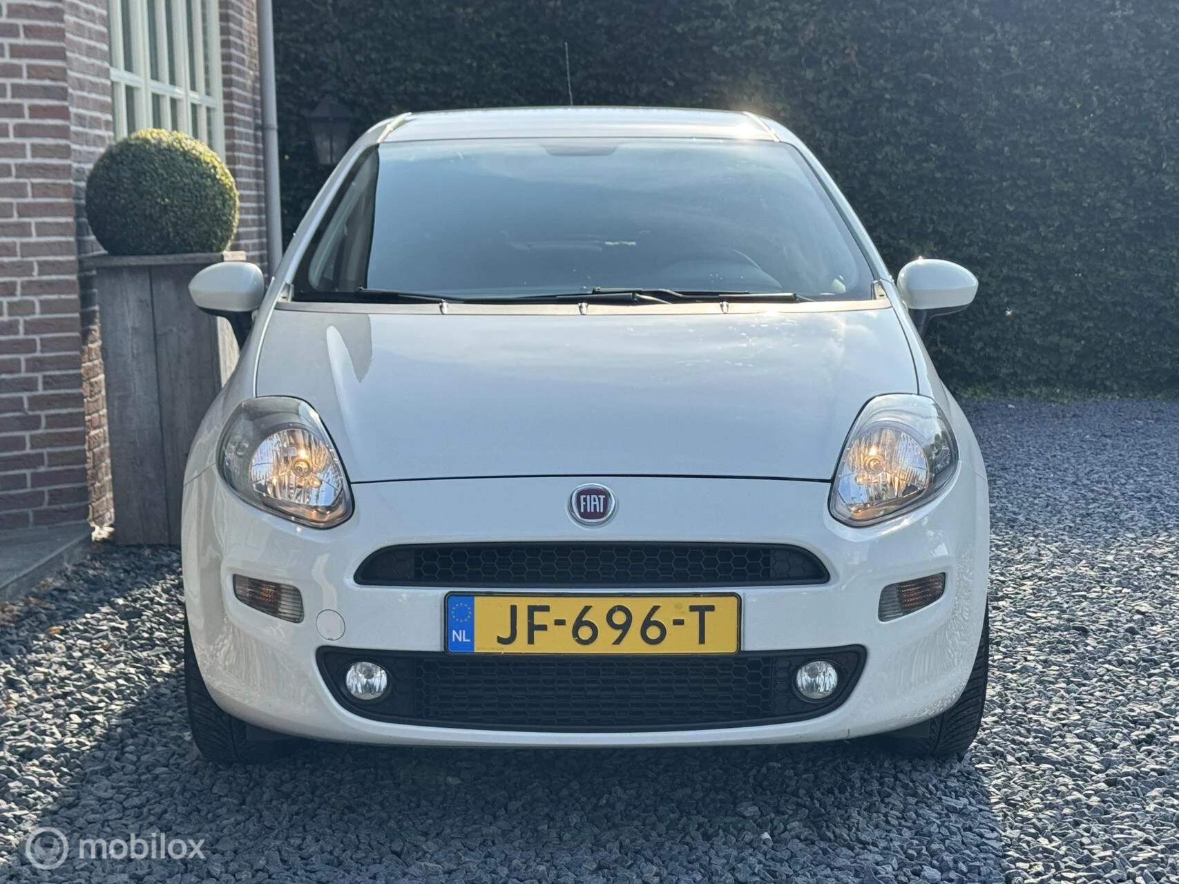 Hoofdafbeelding Fiat Punto