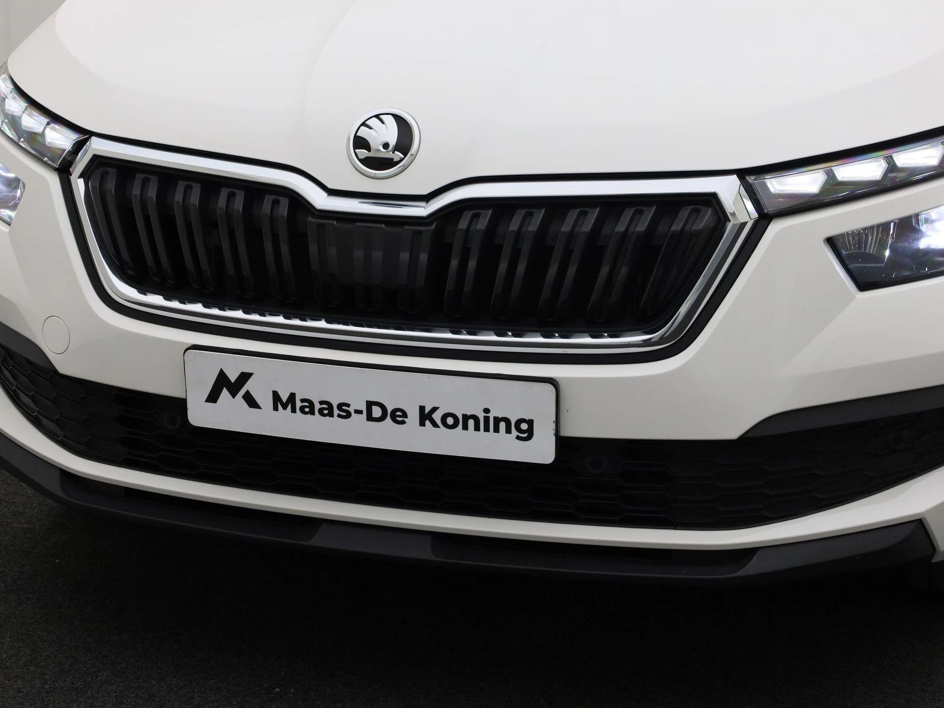 Hoofdafbeelding Škoda Kamiq