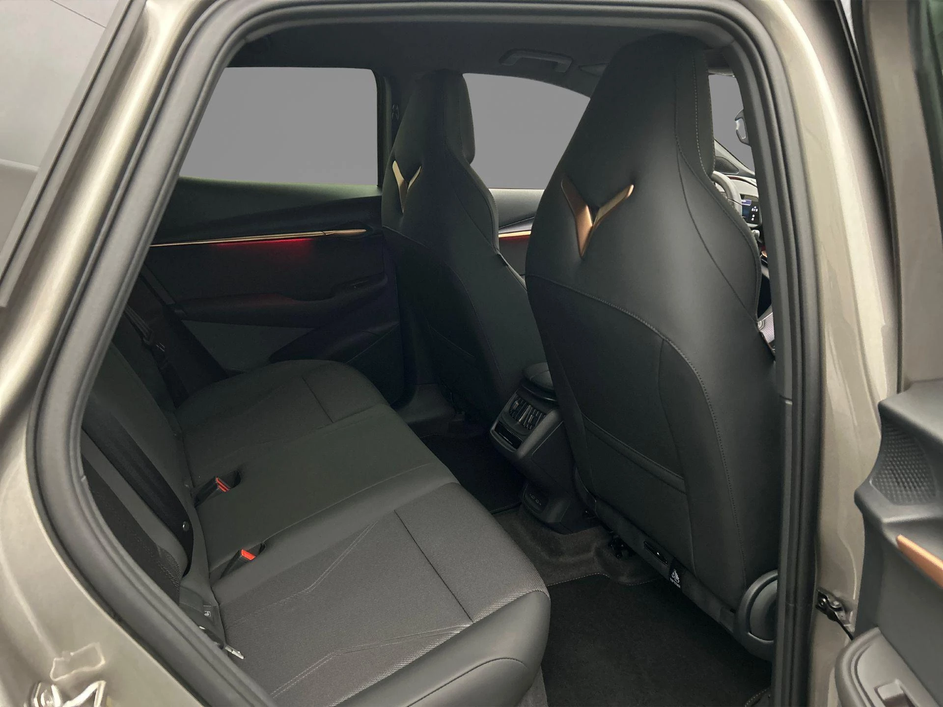 Hoofdafbeelding CUPRA Tavascan