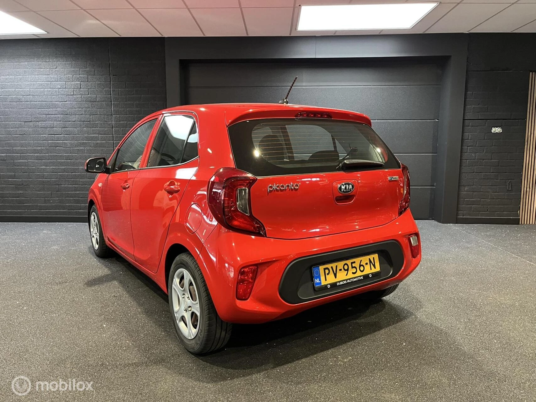 Hoofdafbeelding Kia Picanto