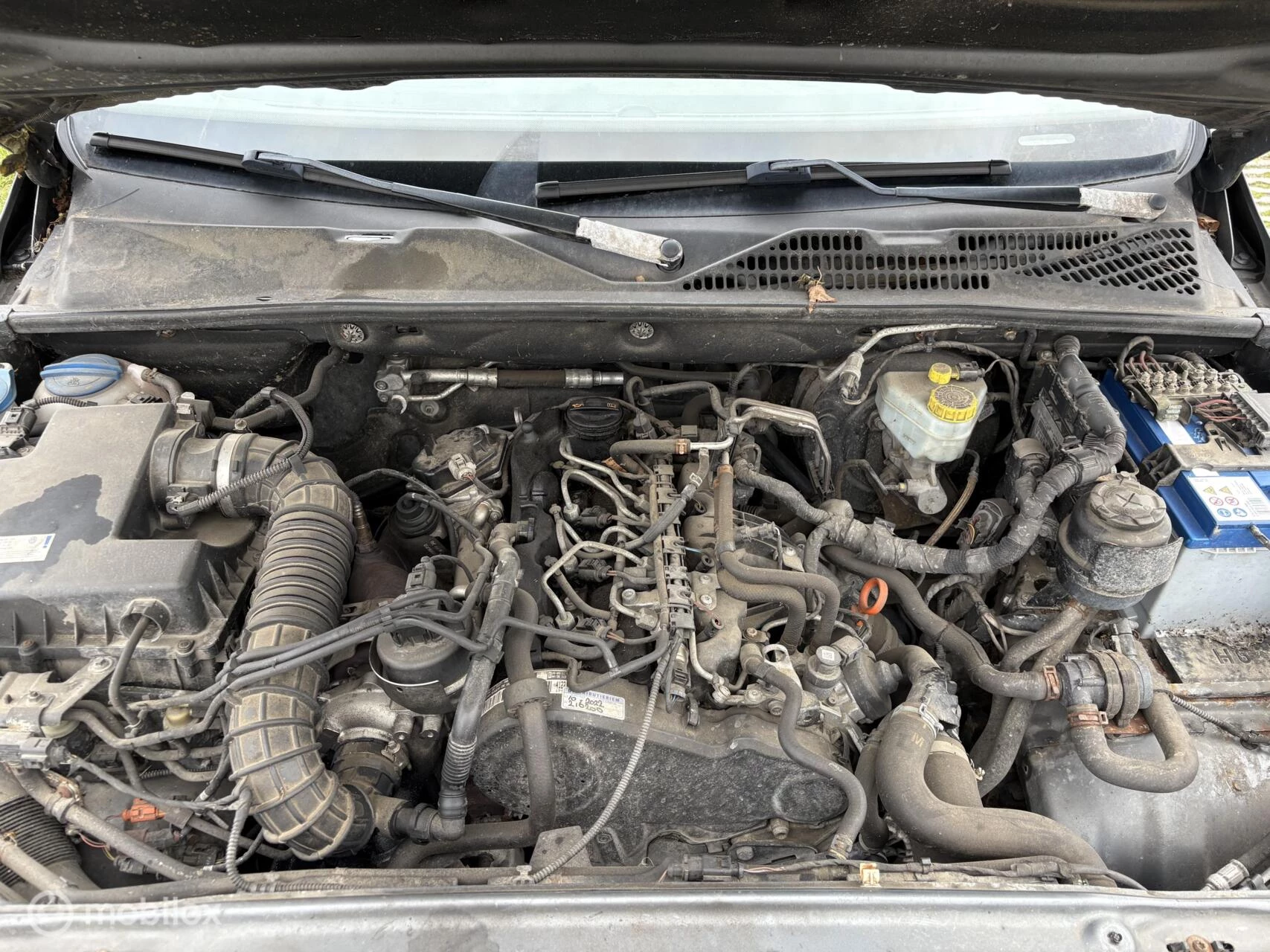 Hoofdafbeelding Volkswagen Amarok