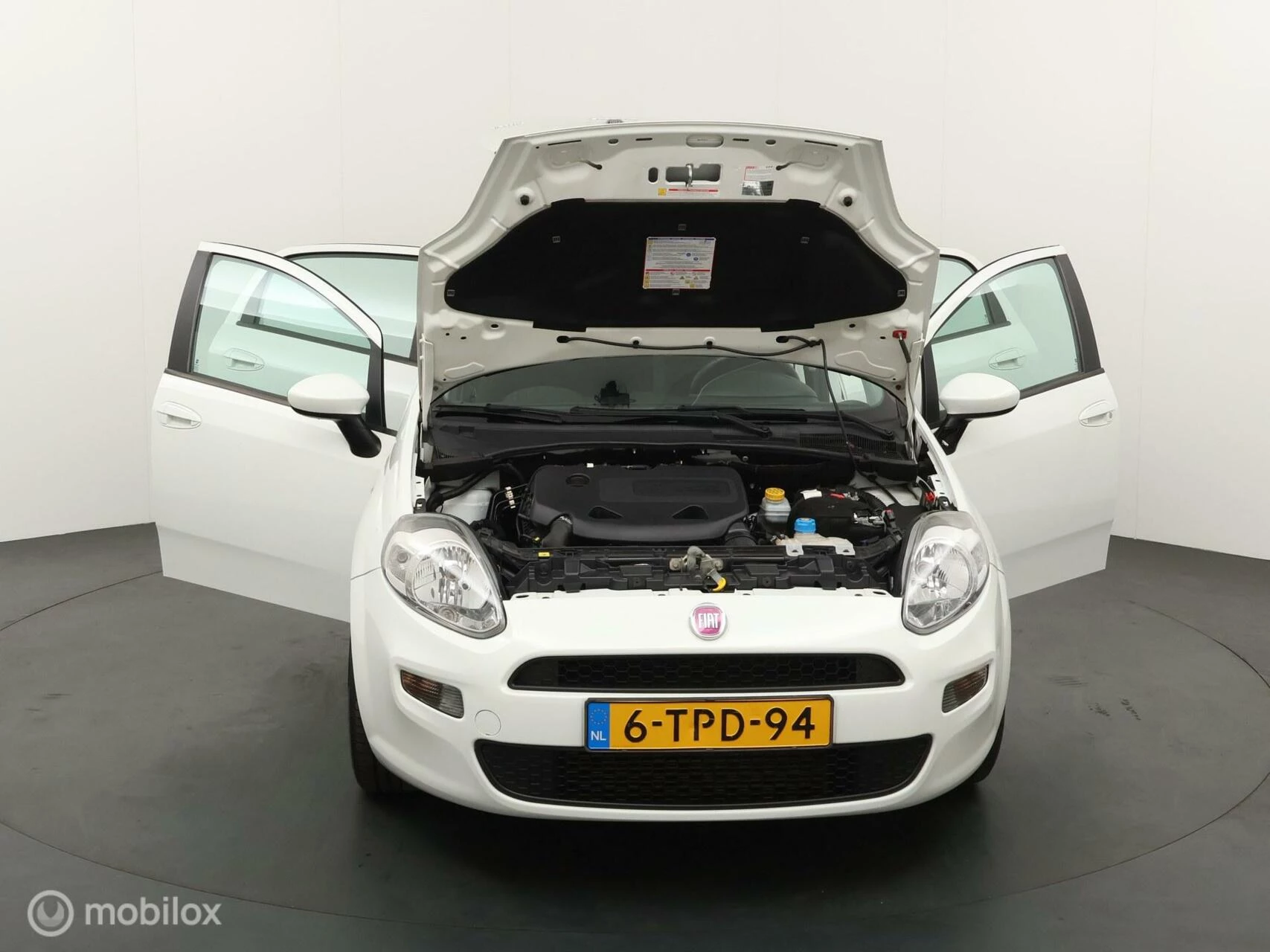 Hoofdafbeelding Fiat Punto