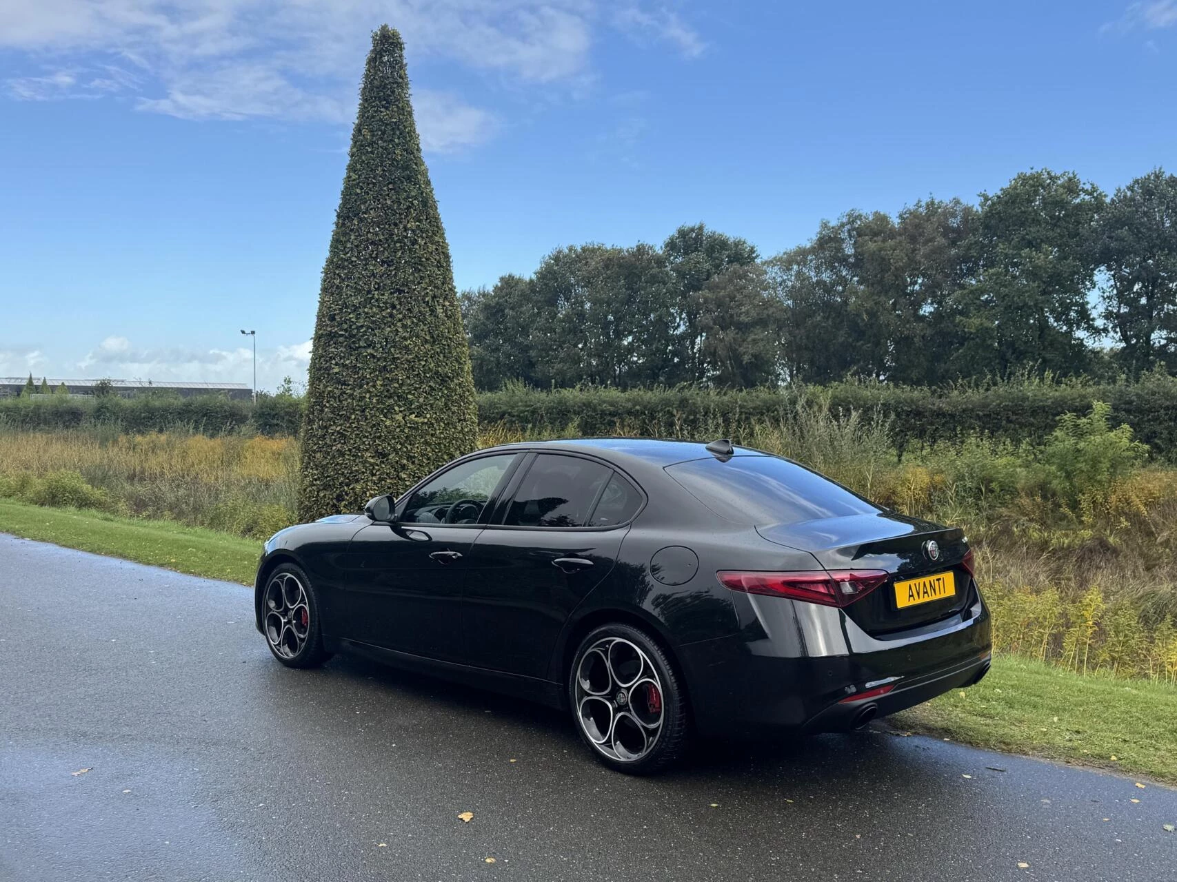 Hoofdafbeelding Alfa Romeo Giulia
