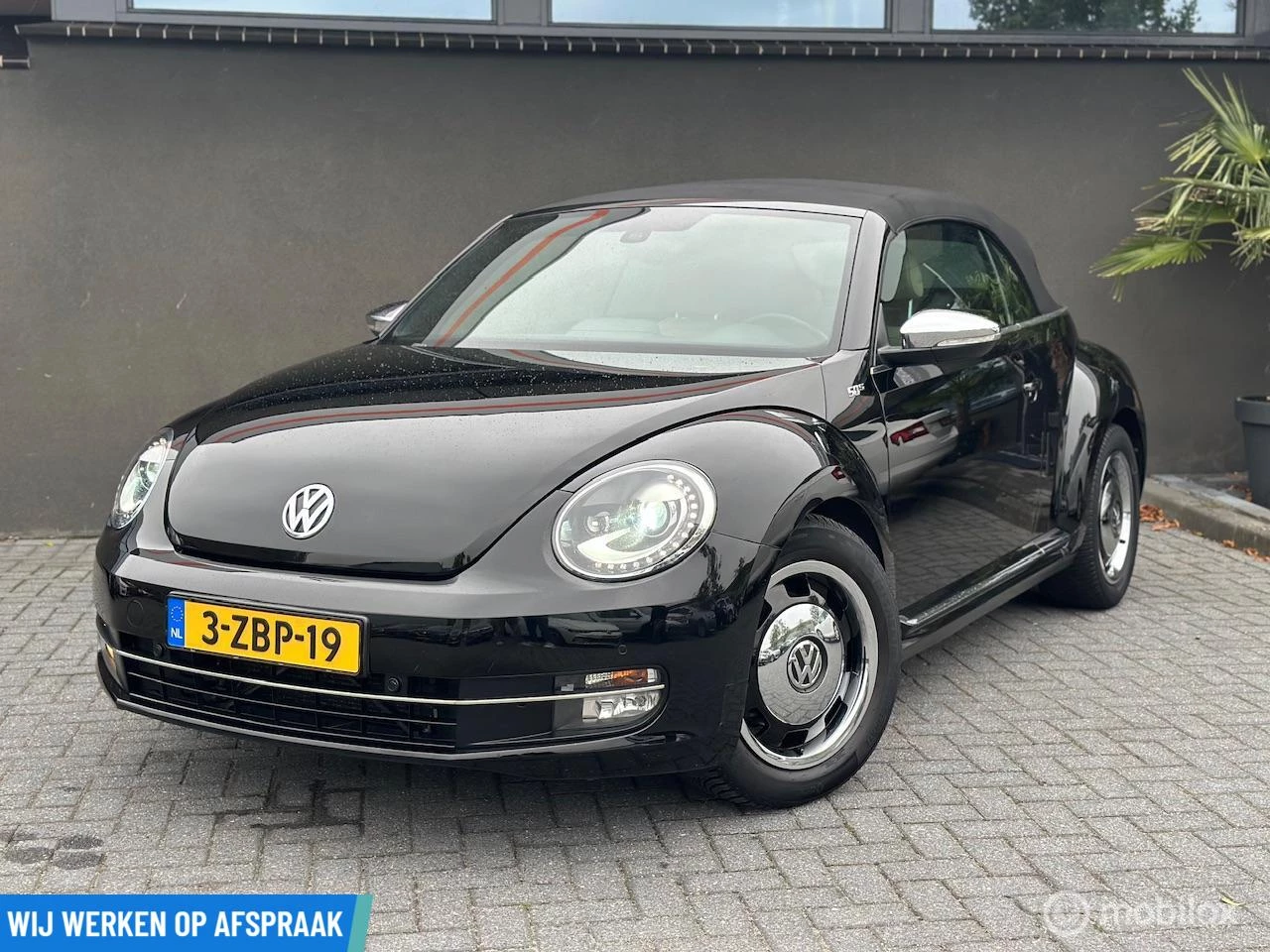 Hoofdafbeelding Volkswagen Beetle