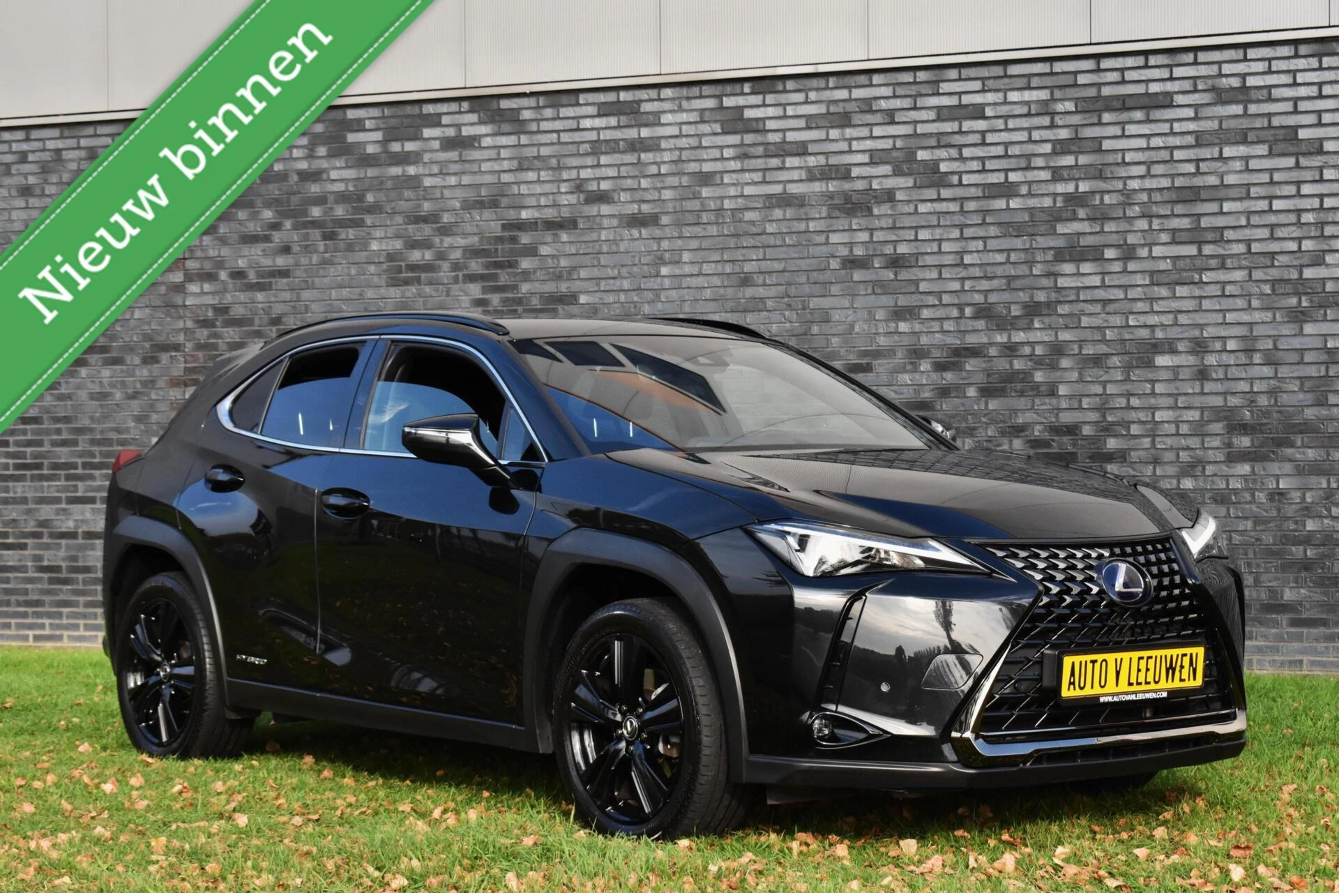 Hoofdafbeelding Lexus UX
