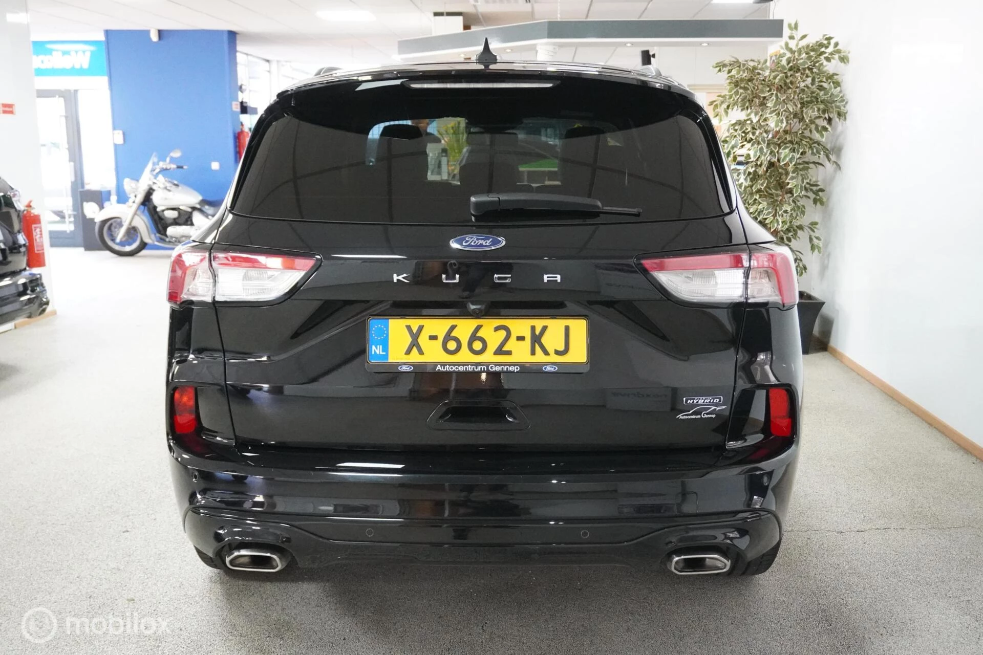 Hoofdafbeelding Ford Kuga