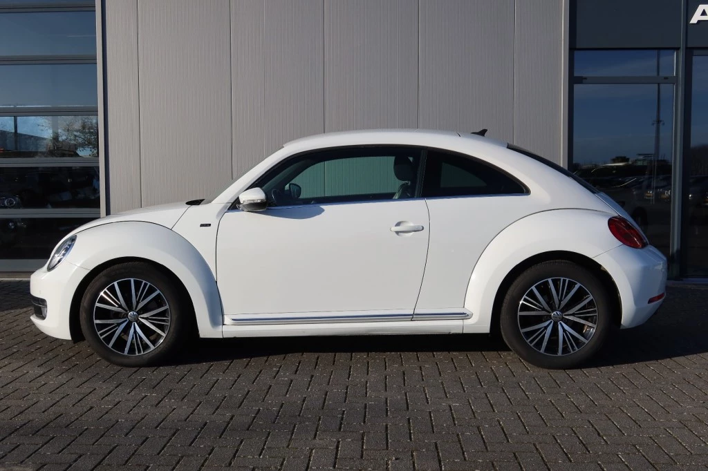Hoofdafbeelding Volkswagen Beetle